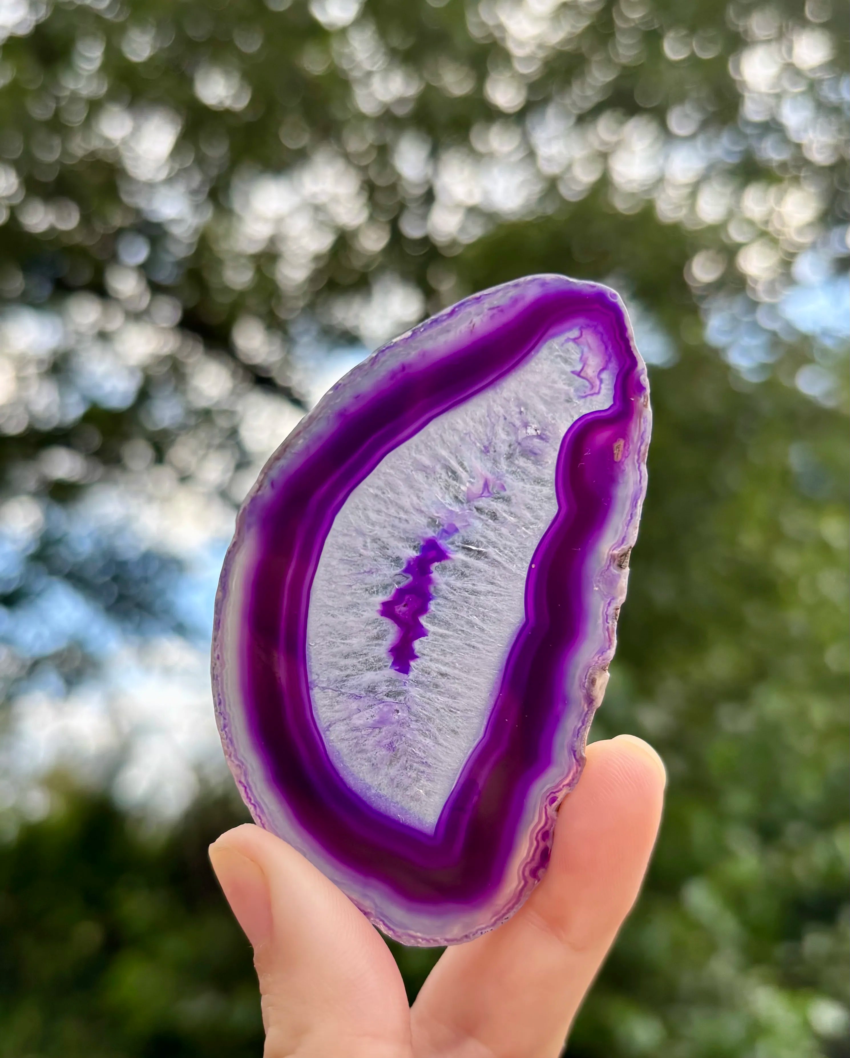 Agaat schijfje Paars