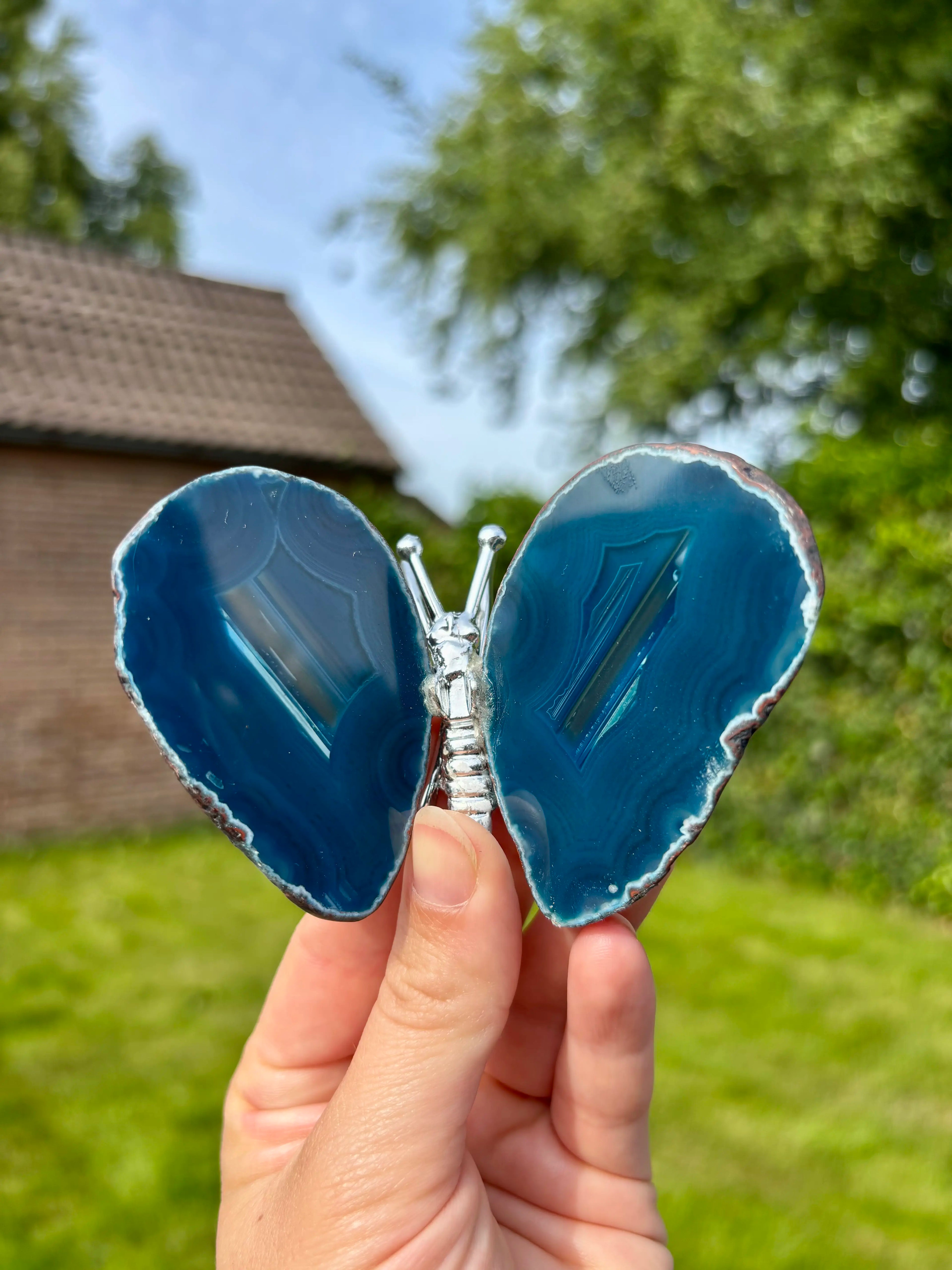 Blauwe Agaat Vlinder