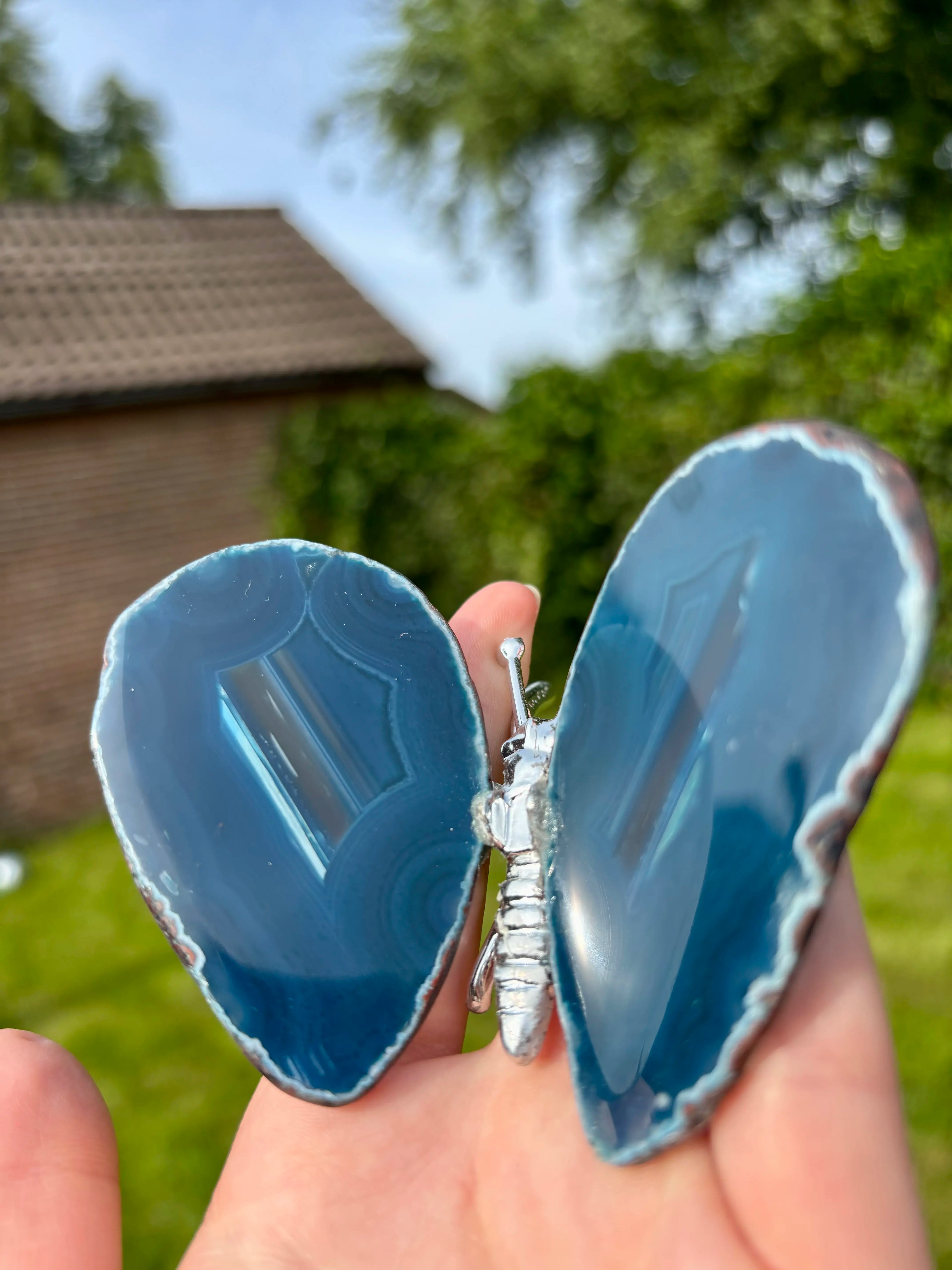 Blauwe Agaat Vlinder