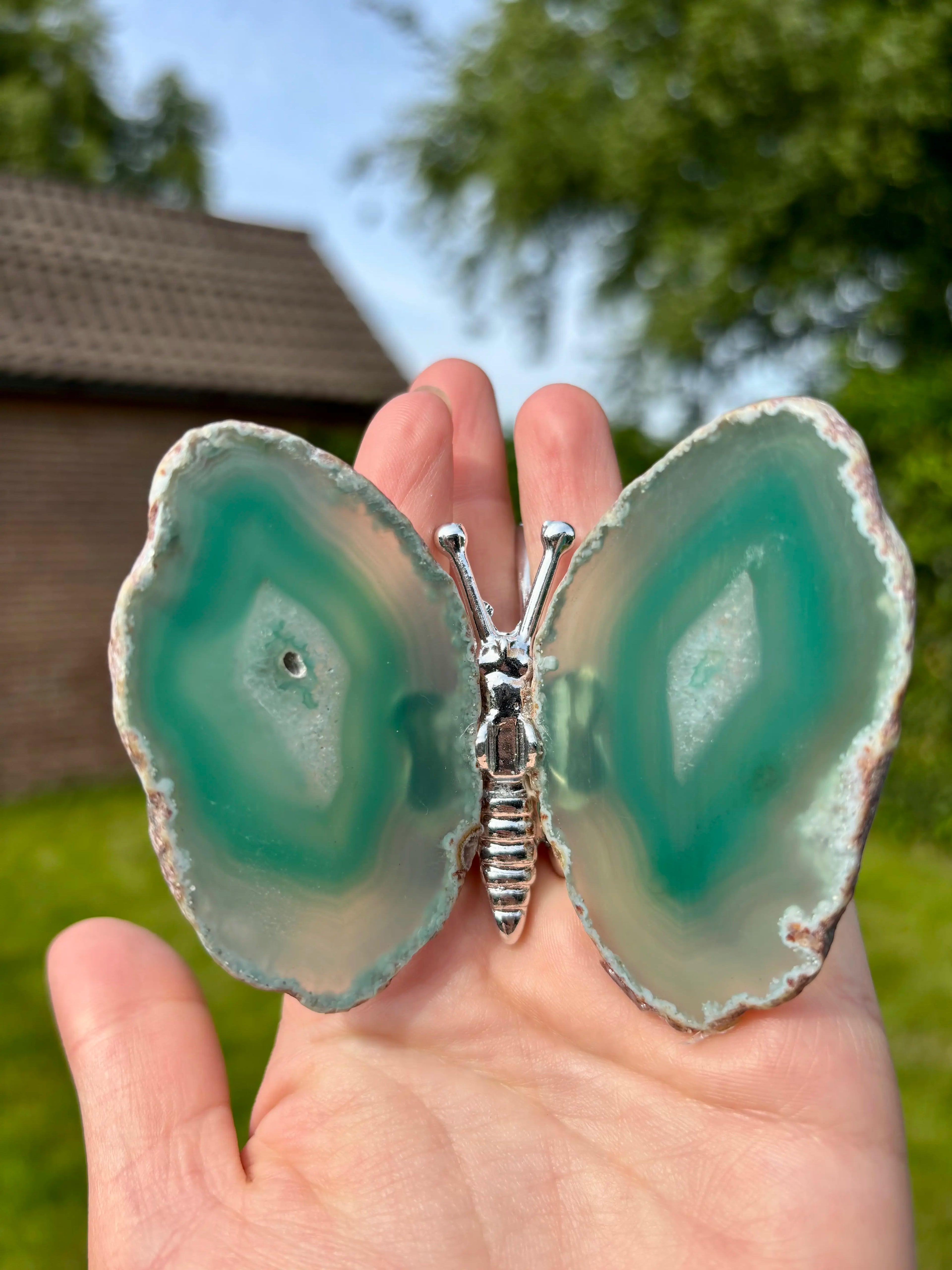 Groene Agaat Vlinder