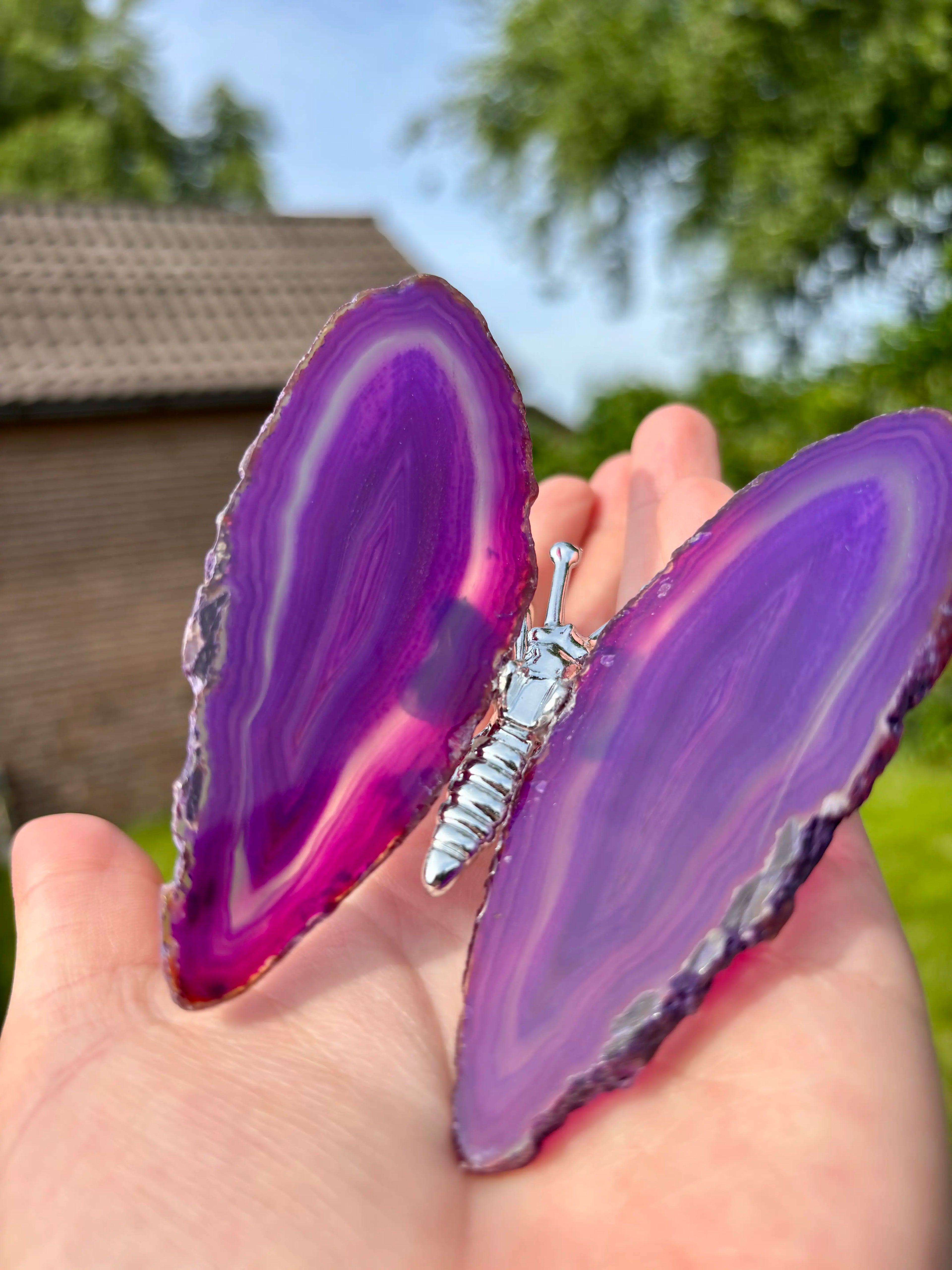 Paarse Agaat Vlinder