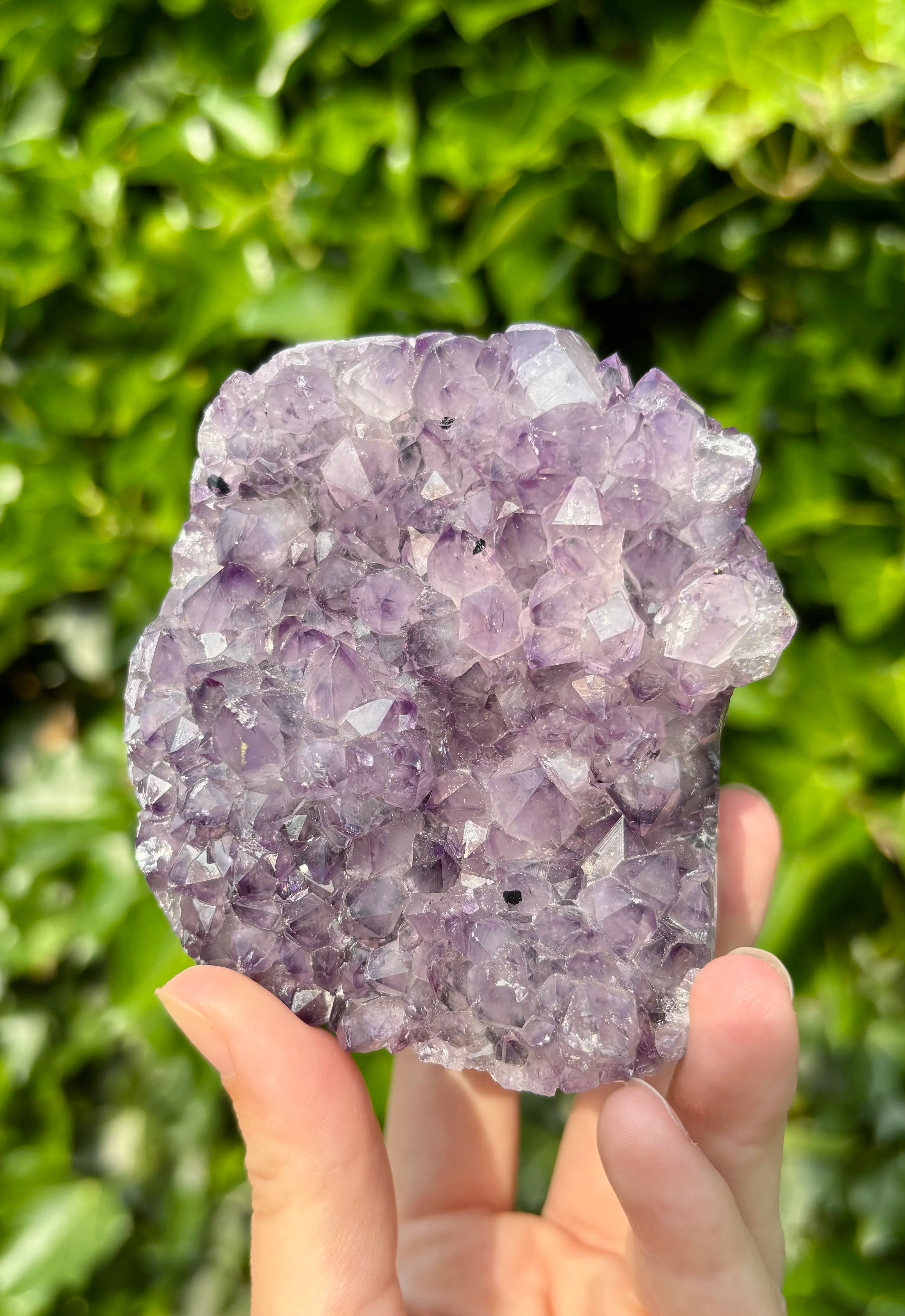 Amethist Cut Base Brazilië