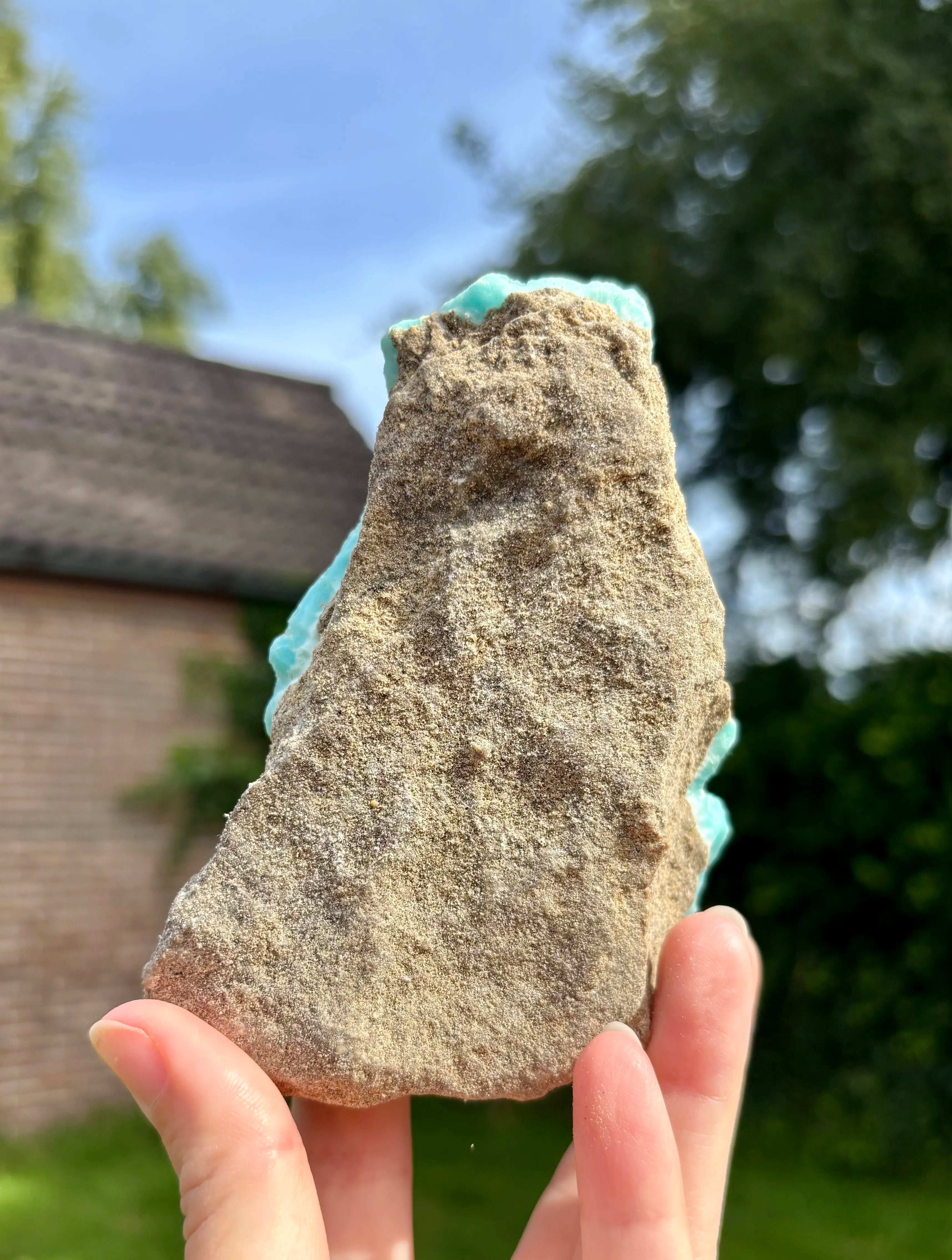 Blue Caribbean Calciet