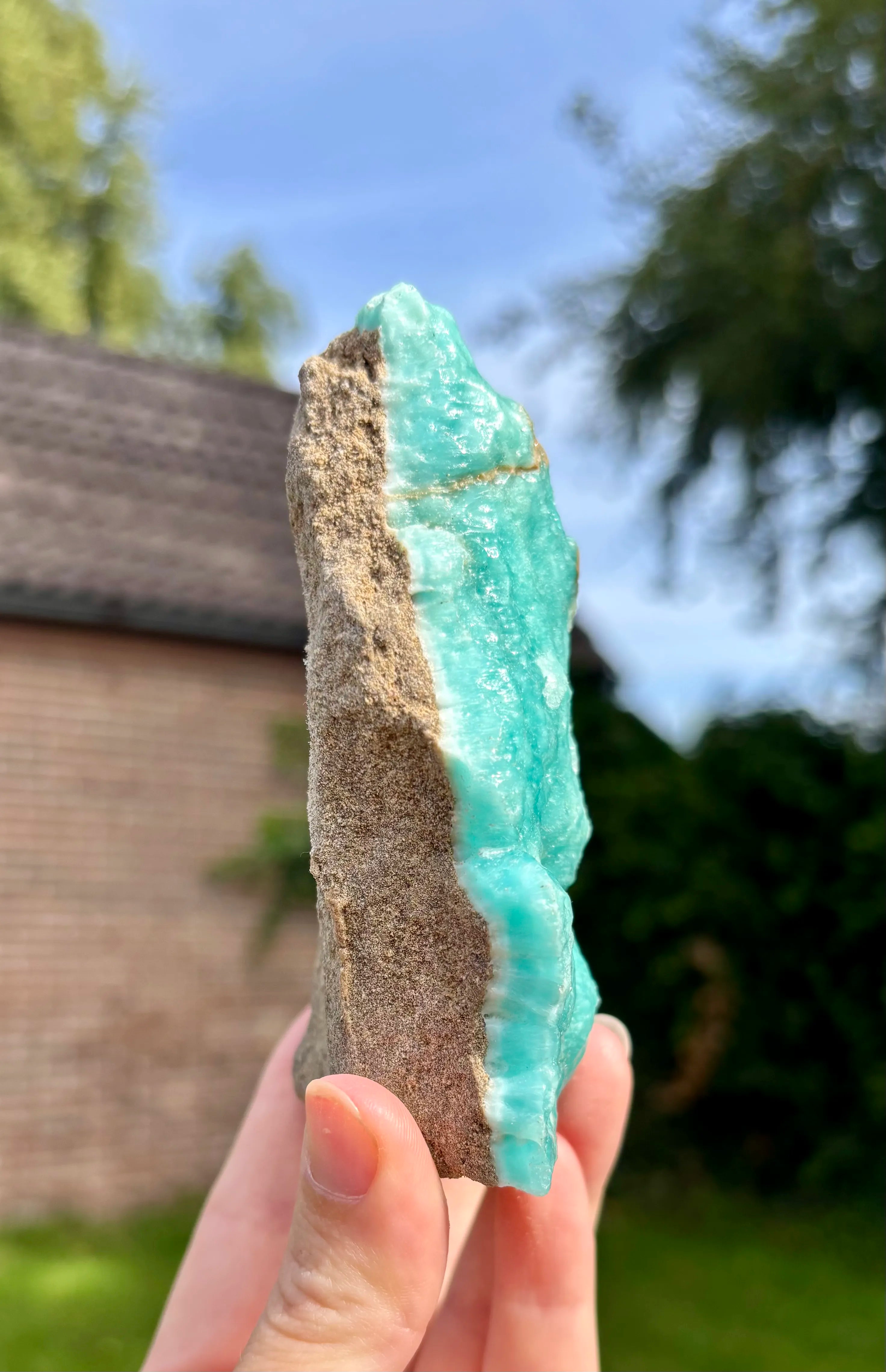 Blue Caribbean Calciet