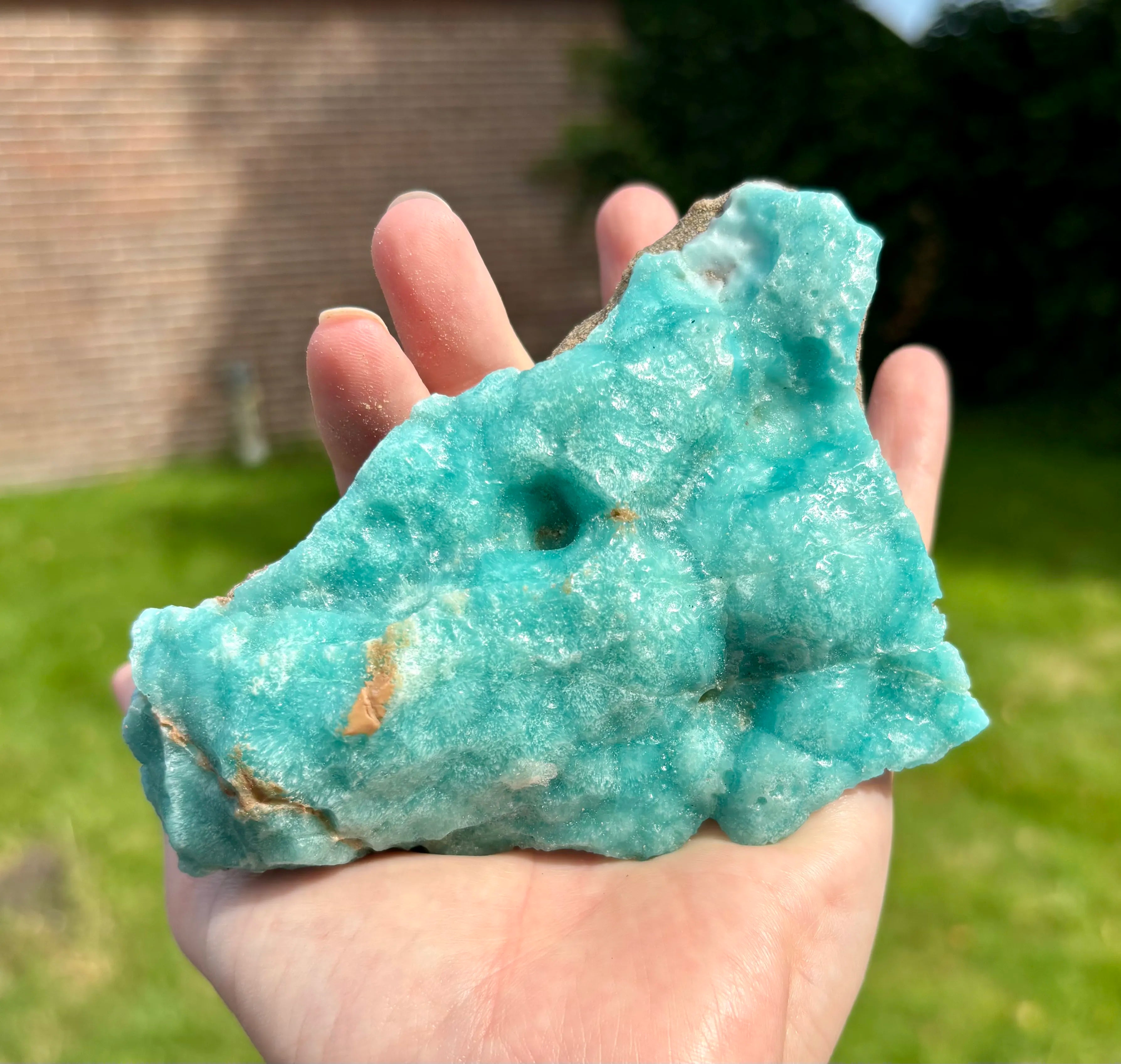 Blue Caribbean Calciet