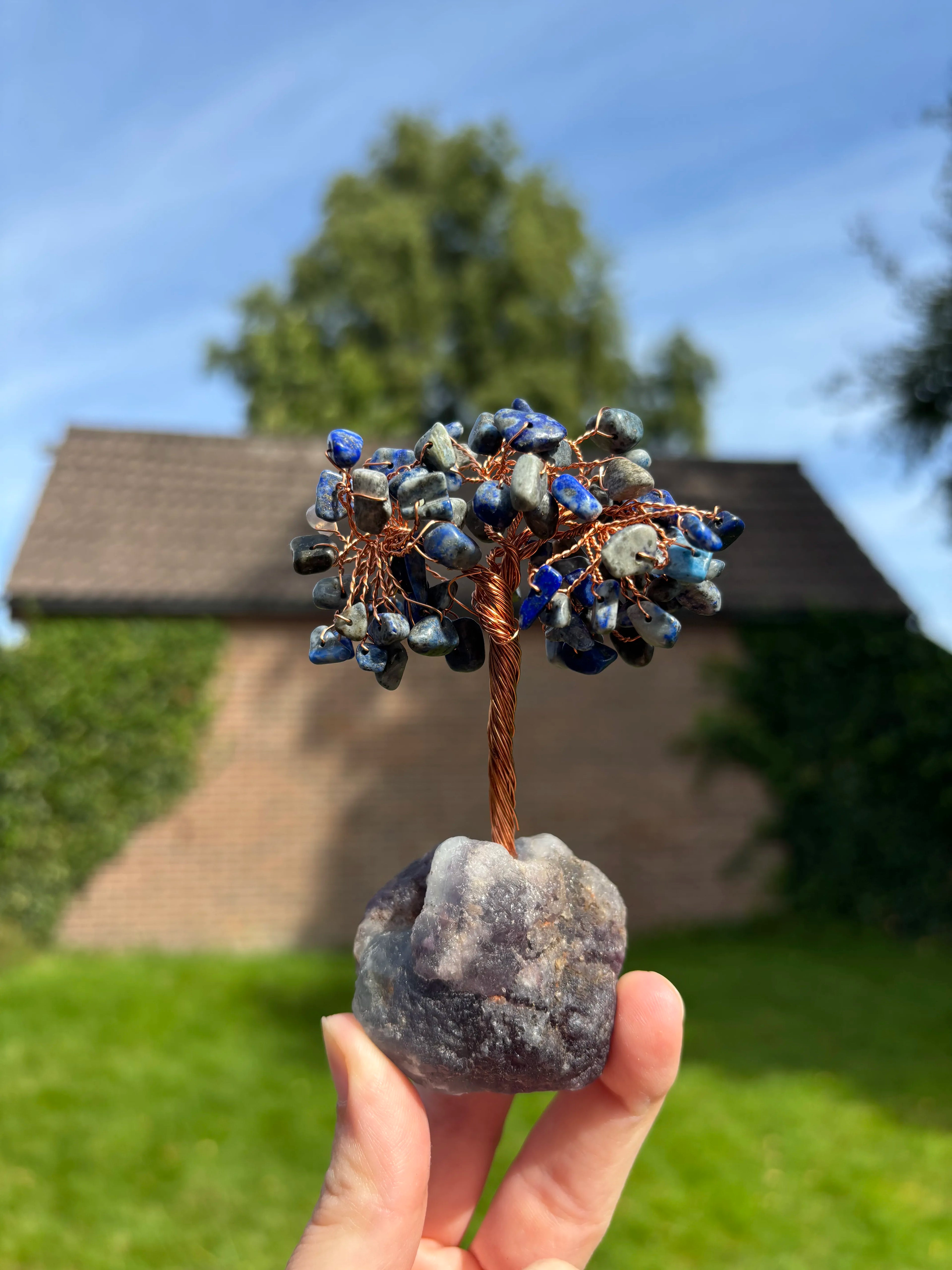 Sodaliet boom op fluoriet