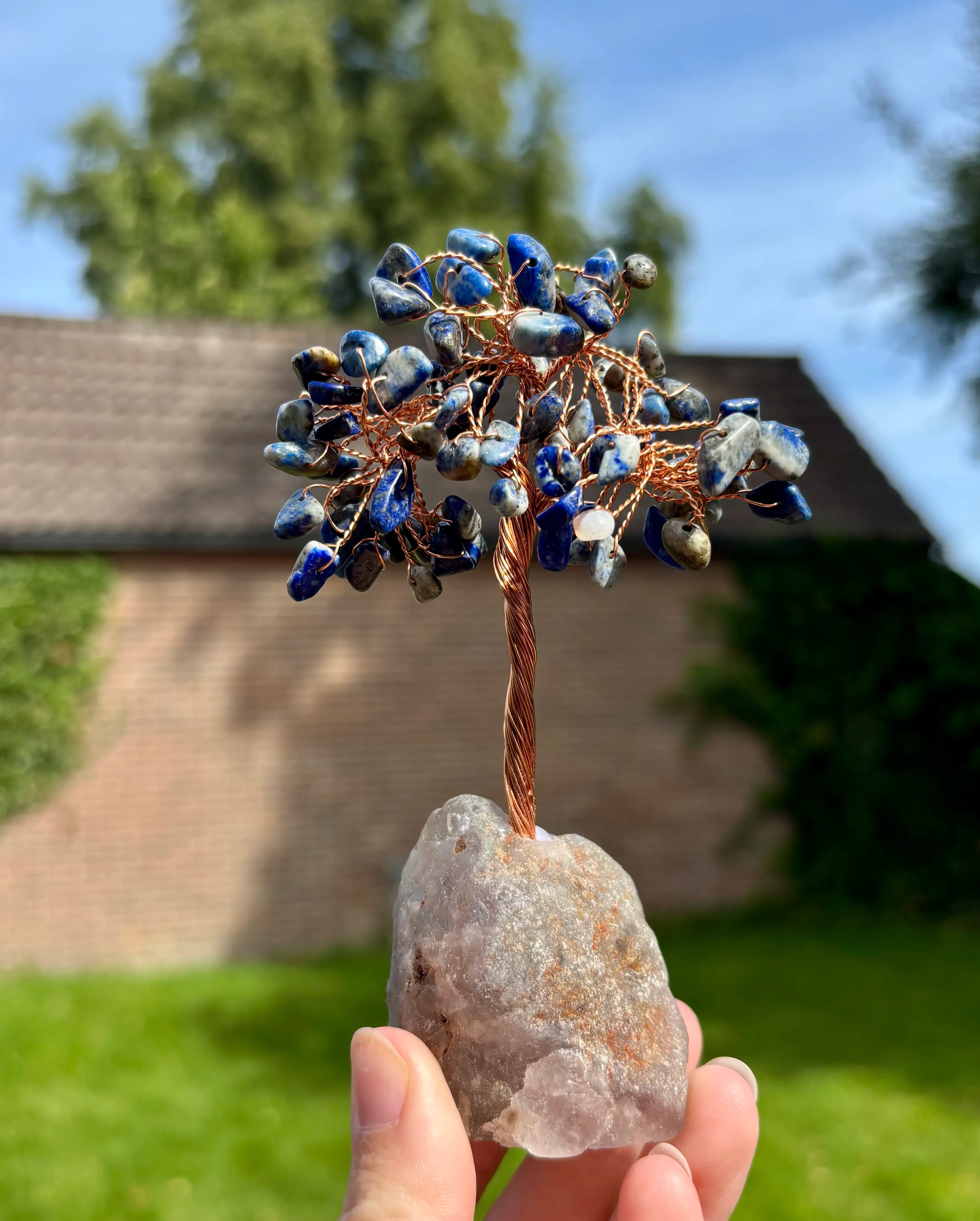 Sodaliet boom op fluoriet