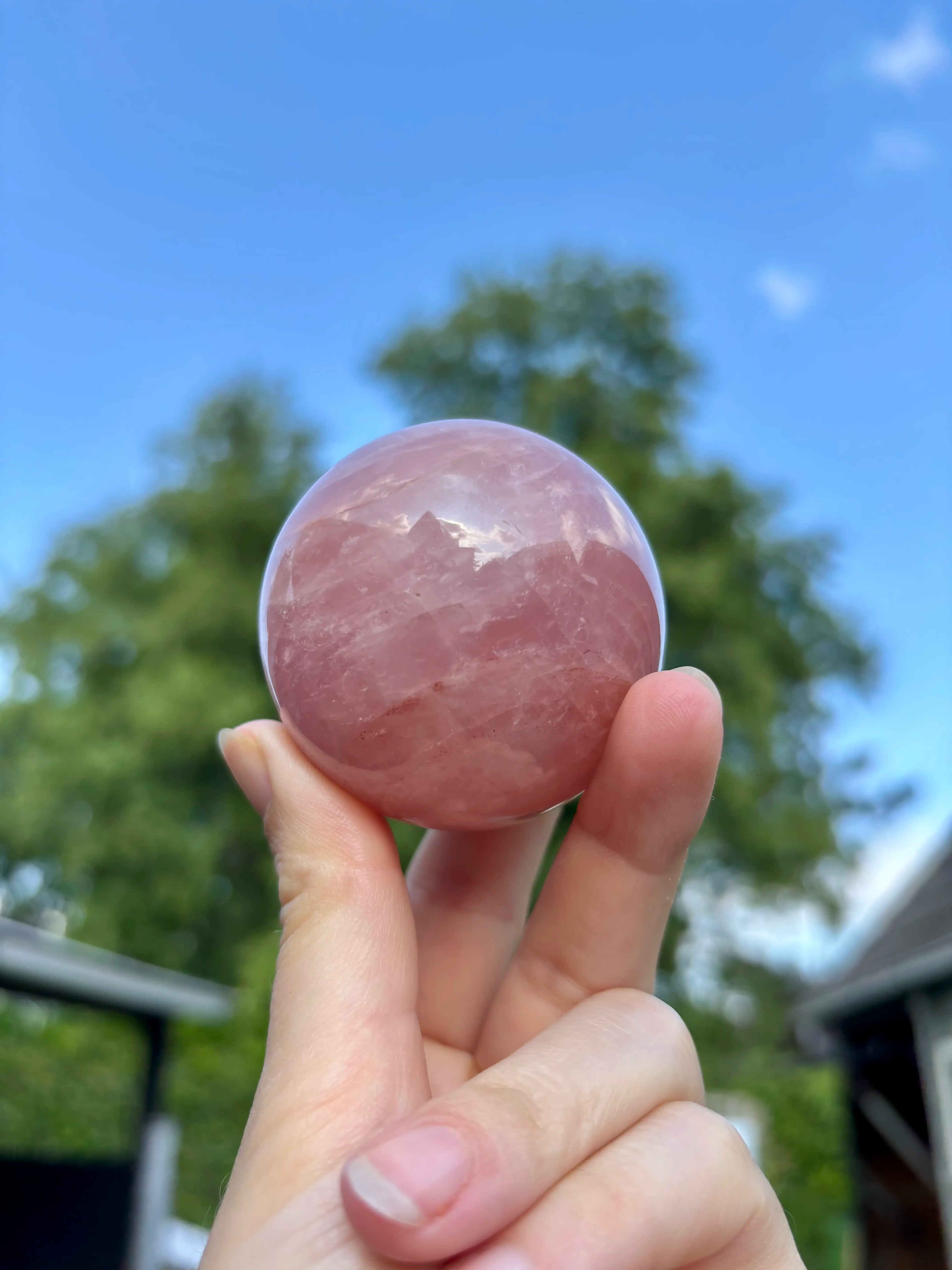 Rozenkwarts Bol