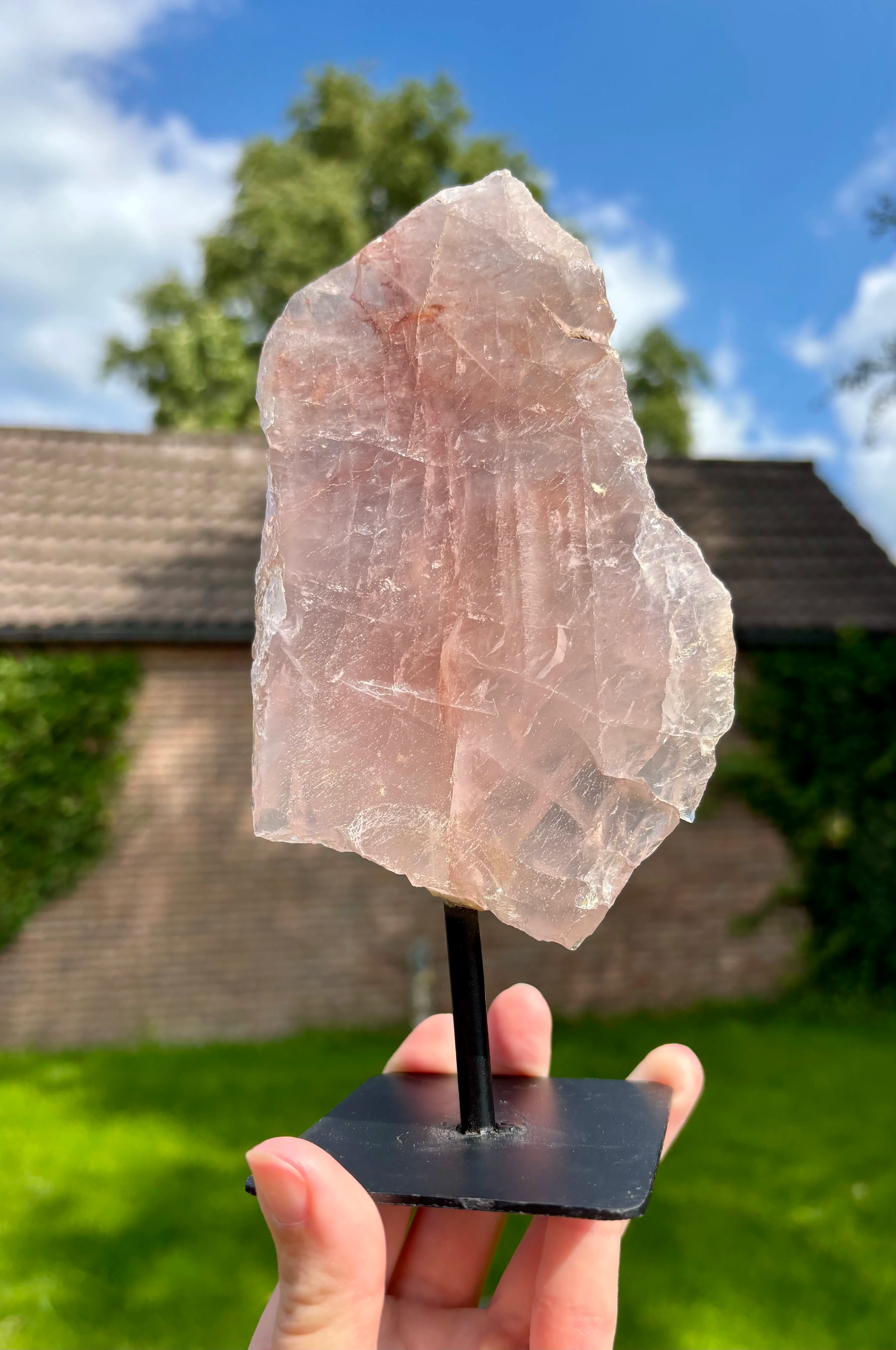 Rozenkwarts op Standaard