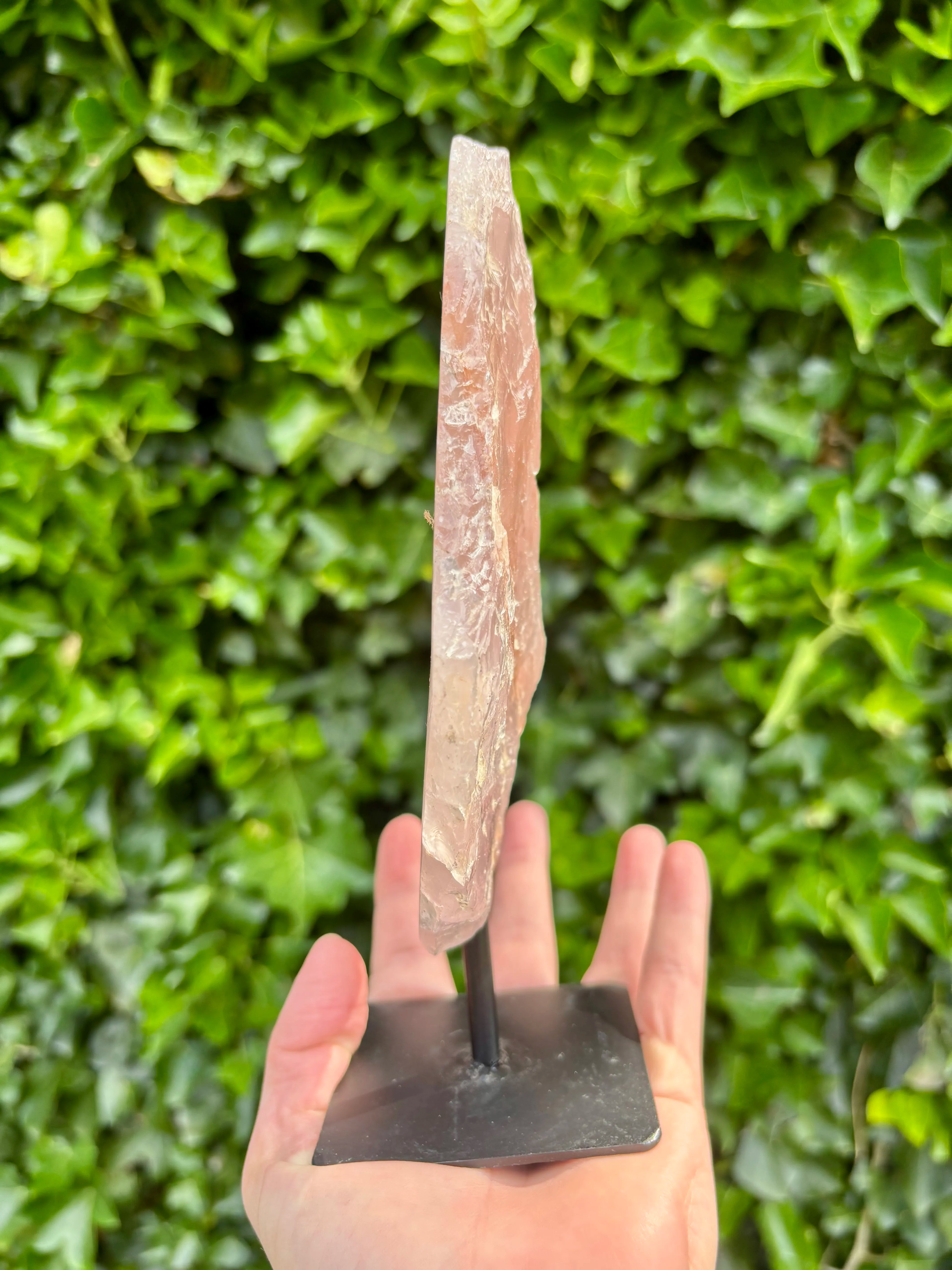 Rozenkwarts op Standaard