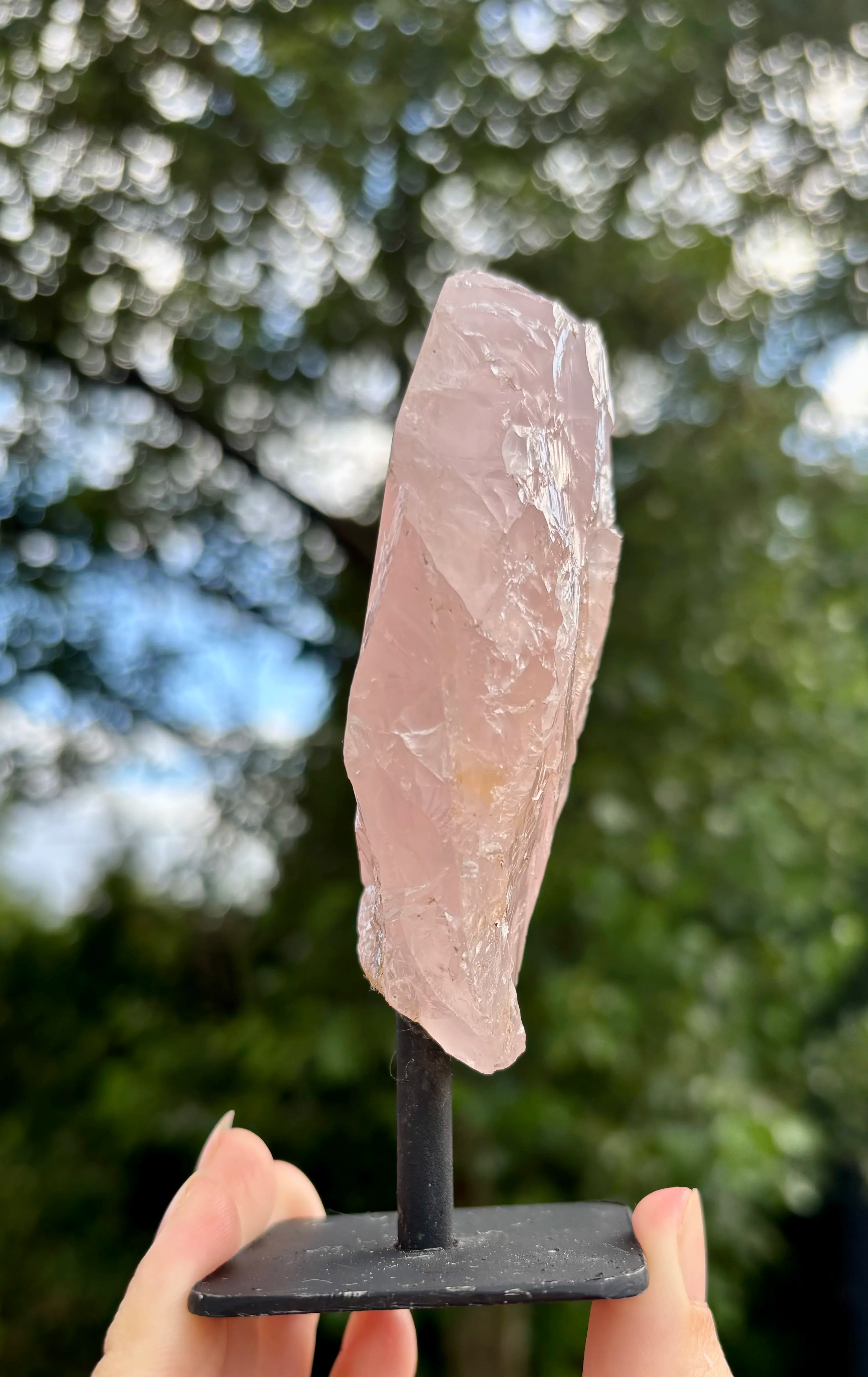 Rozenkwarts op Standaard