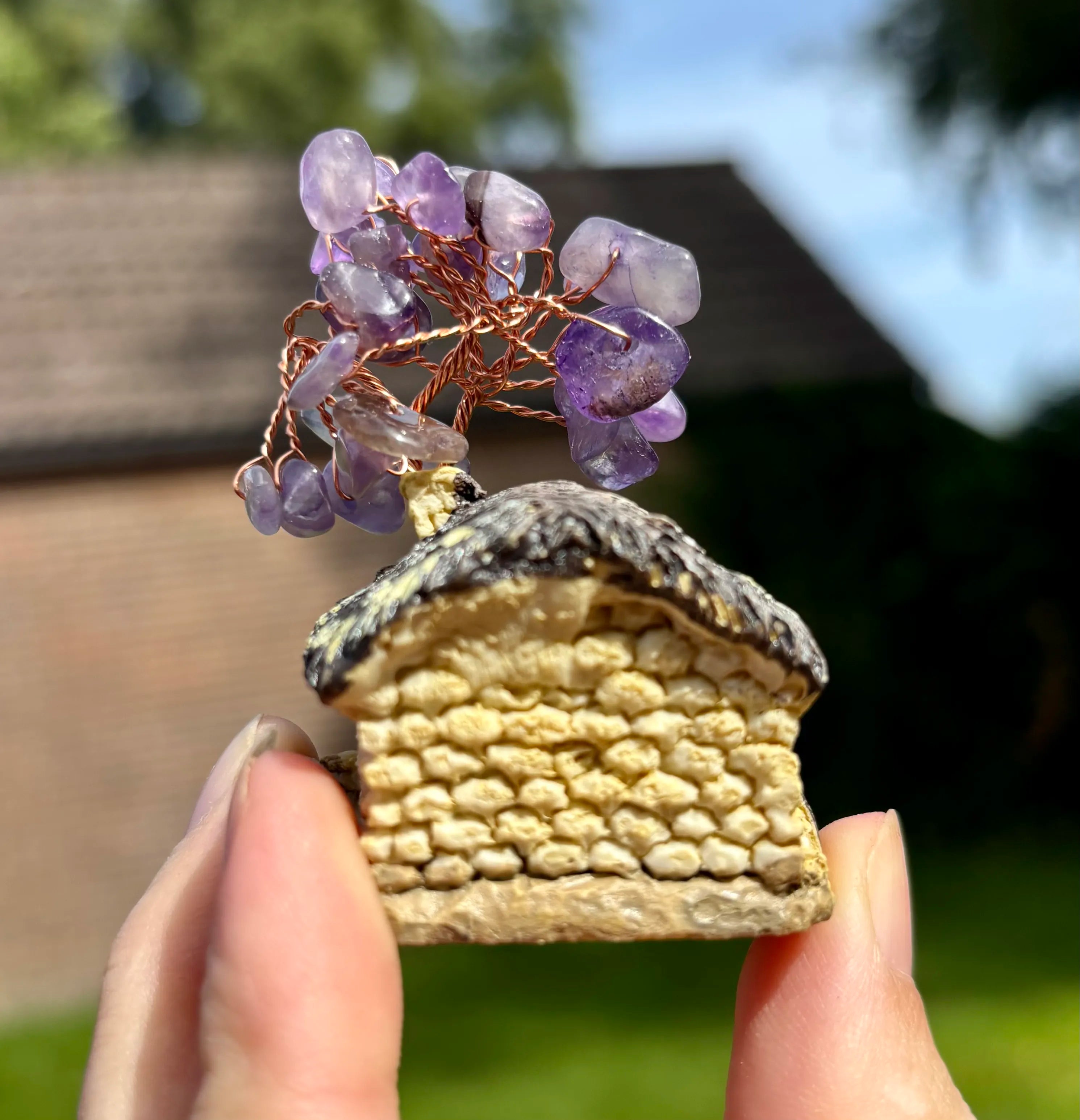 huisje met amethist boom
