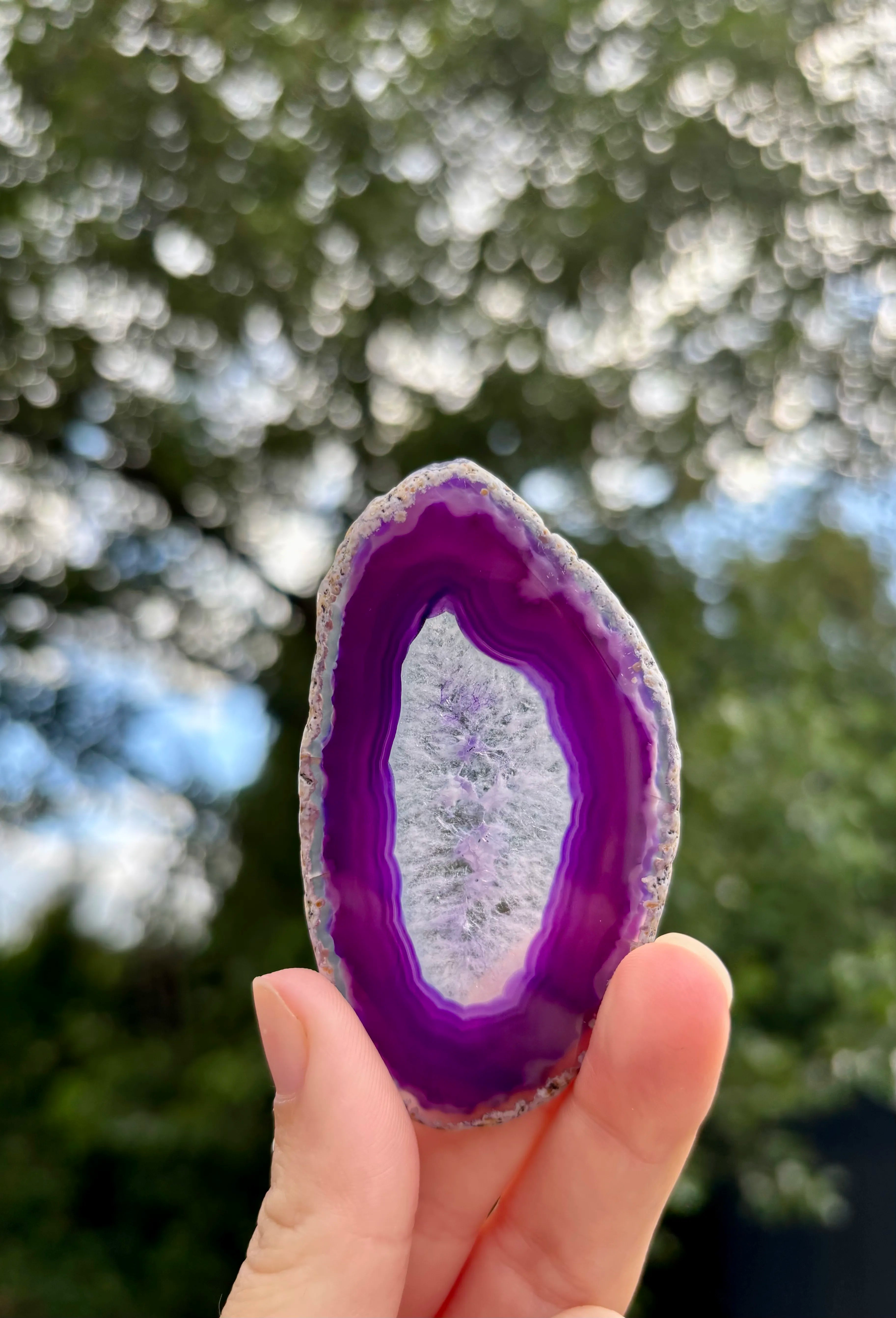 Agaat schijfje Paars