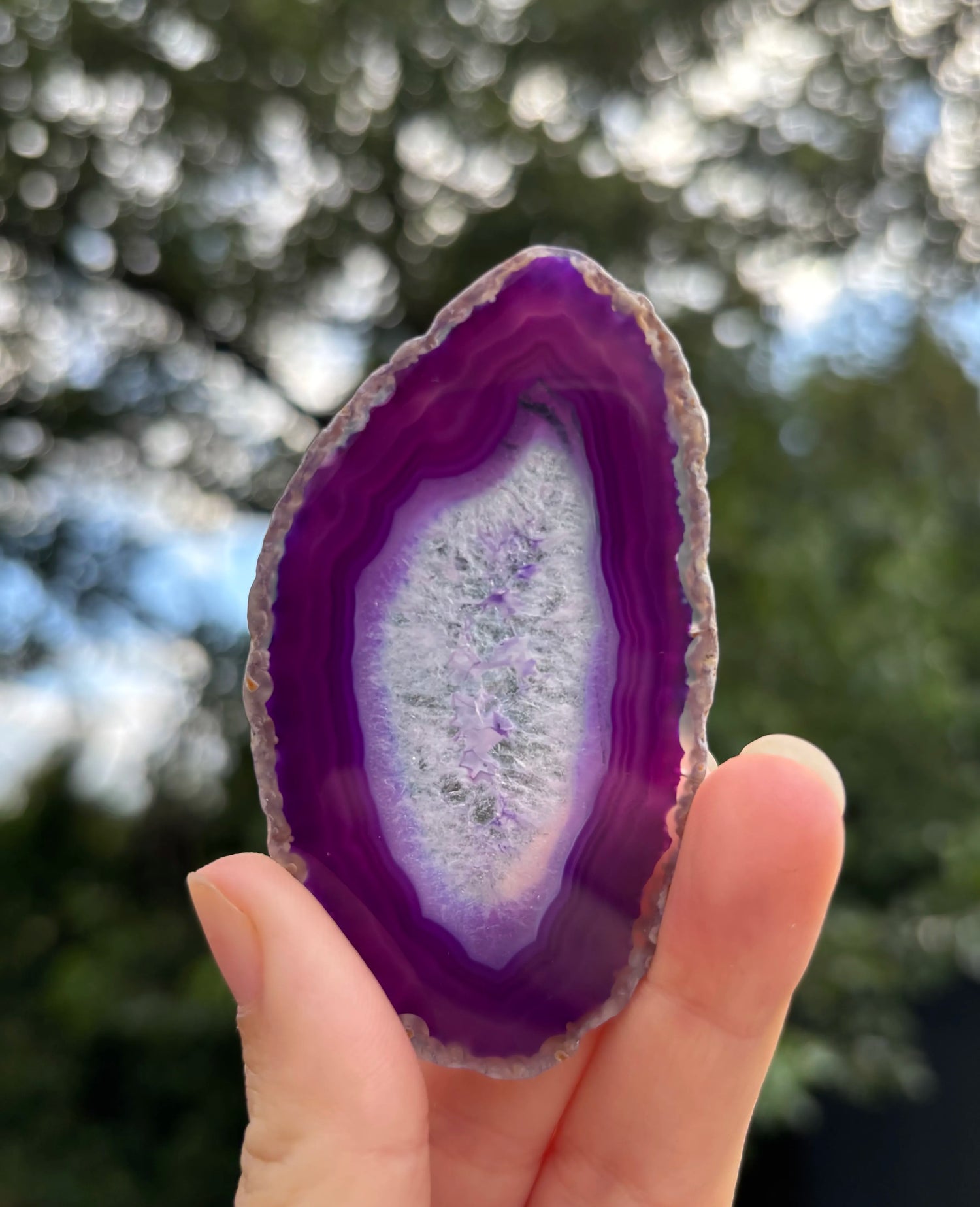 Agaat schijfje Paars