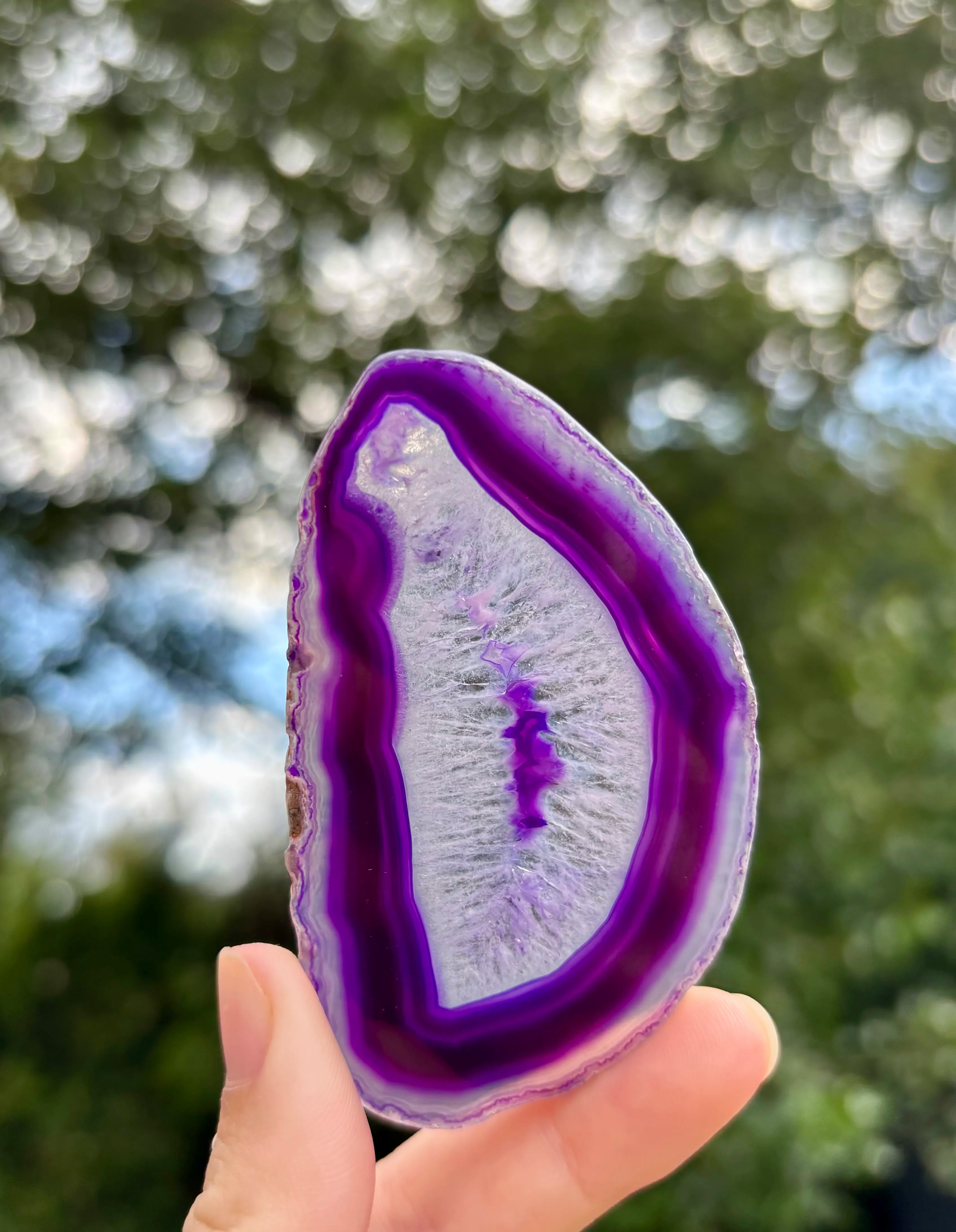 Agaat schijfje Paars