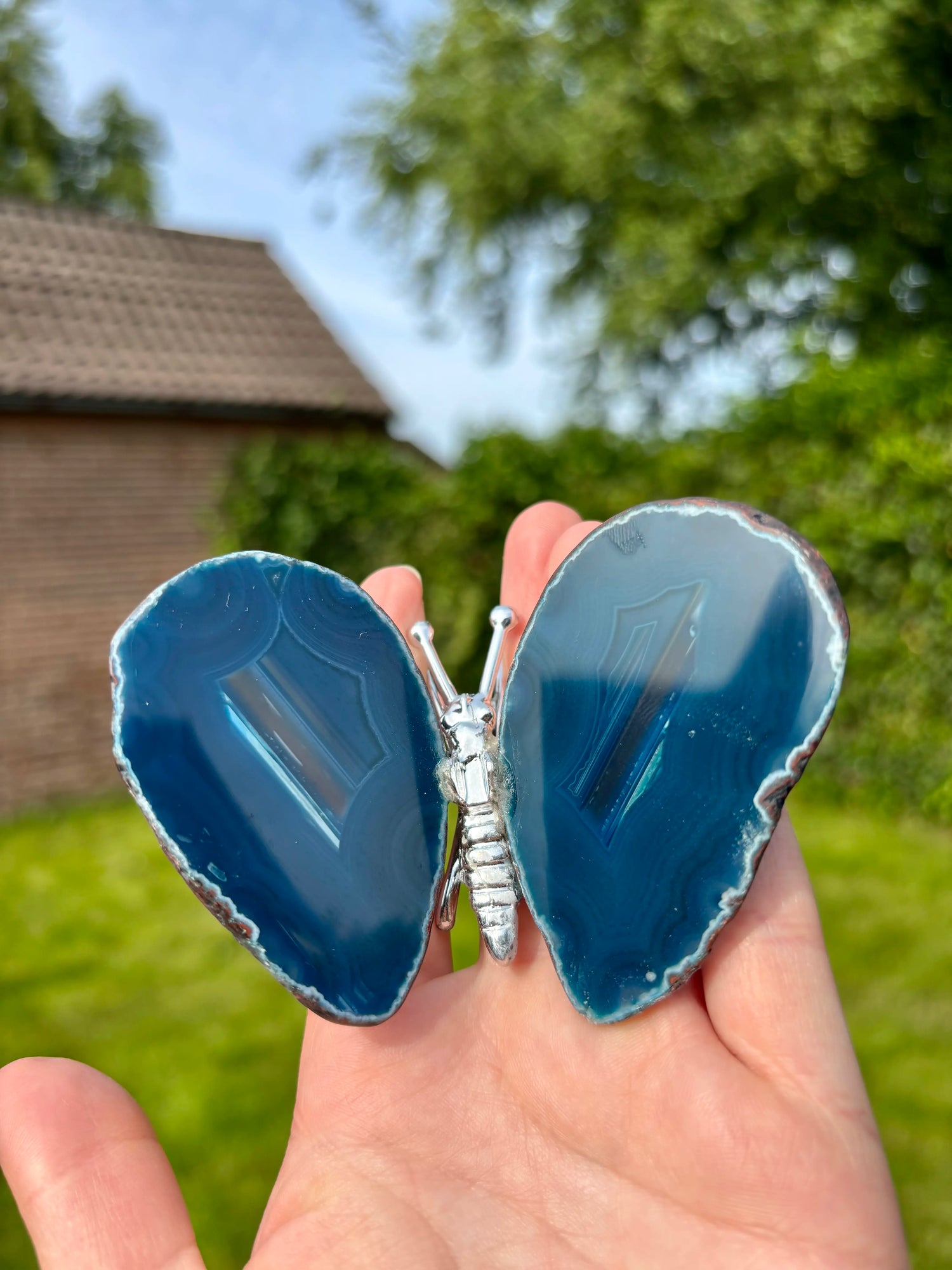 Blauwe Agaat Vlinder