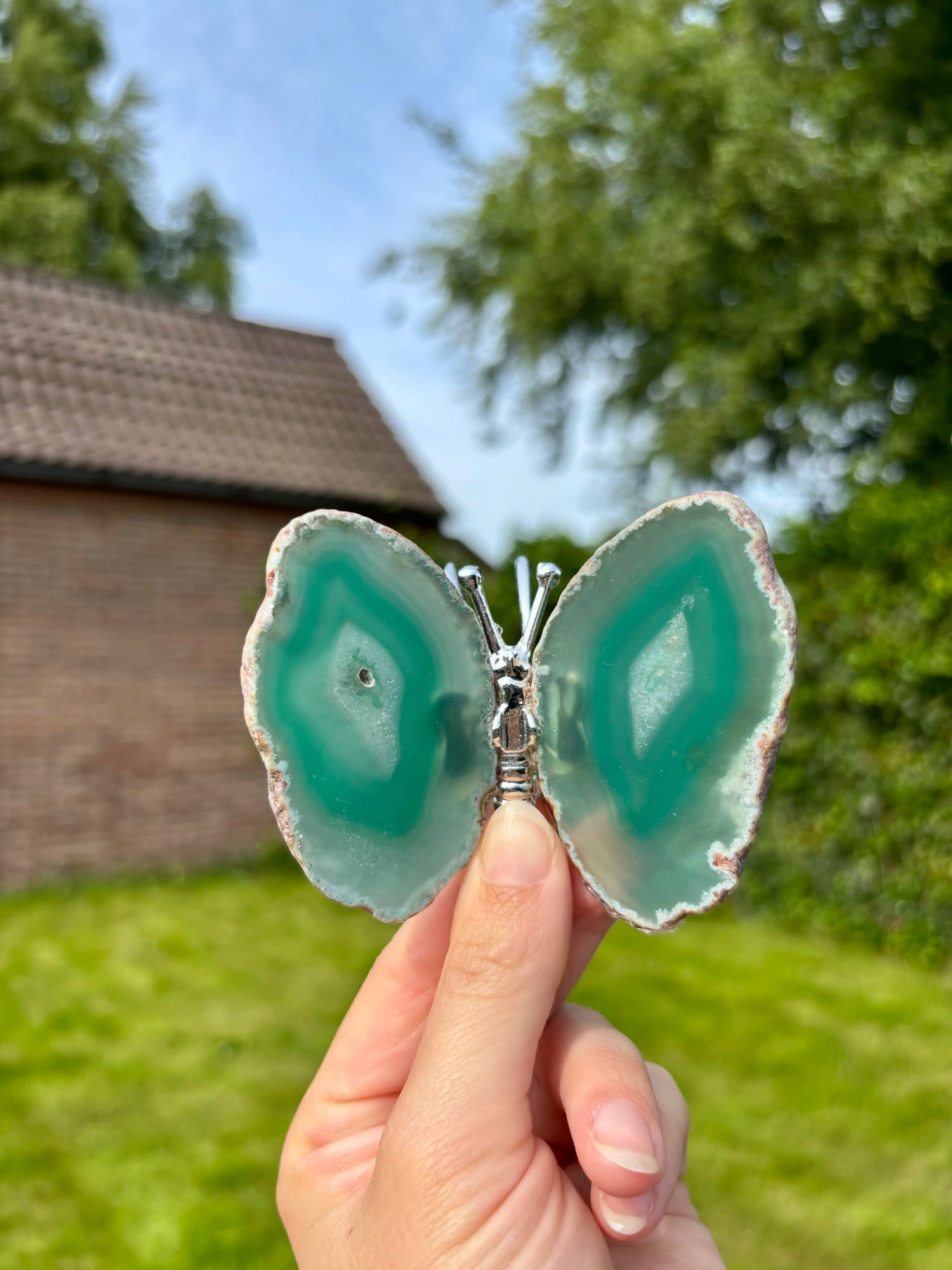 Groene Agaat Vlinder