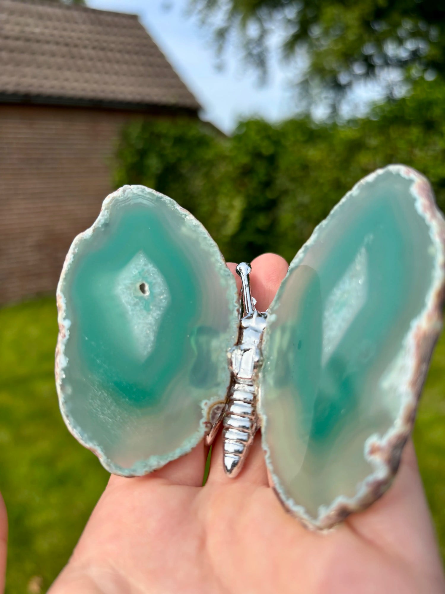 Groene Agaat Vlinder