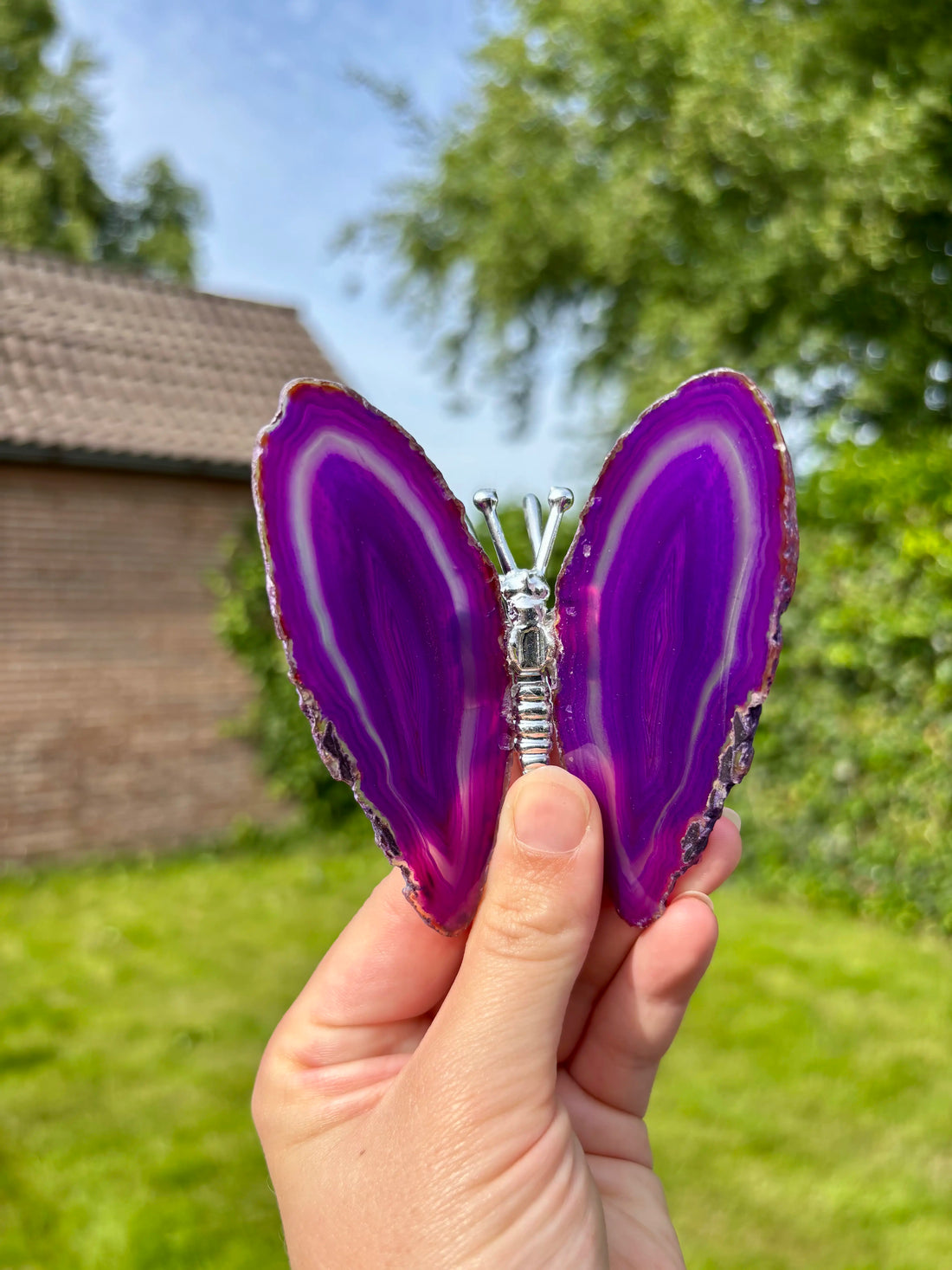 Paarse Agaat Vlinder