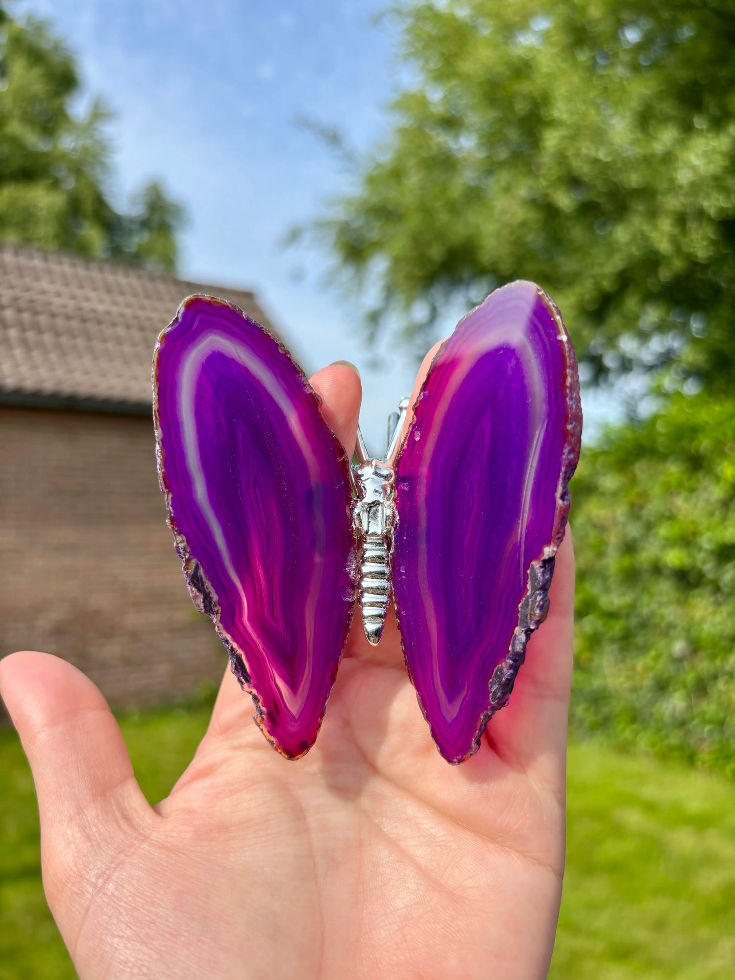 Paarse Agaat Vlinder