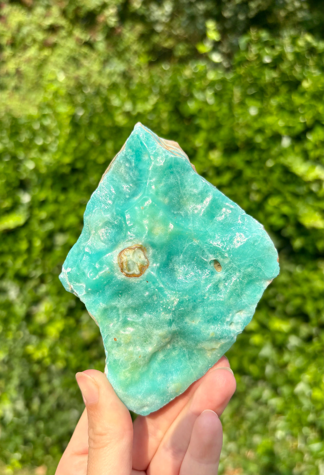 Blue Caribbean Calciet