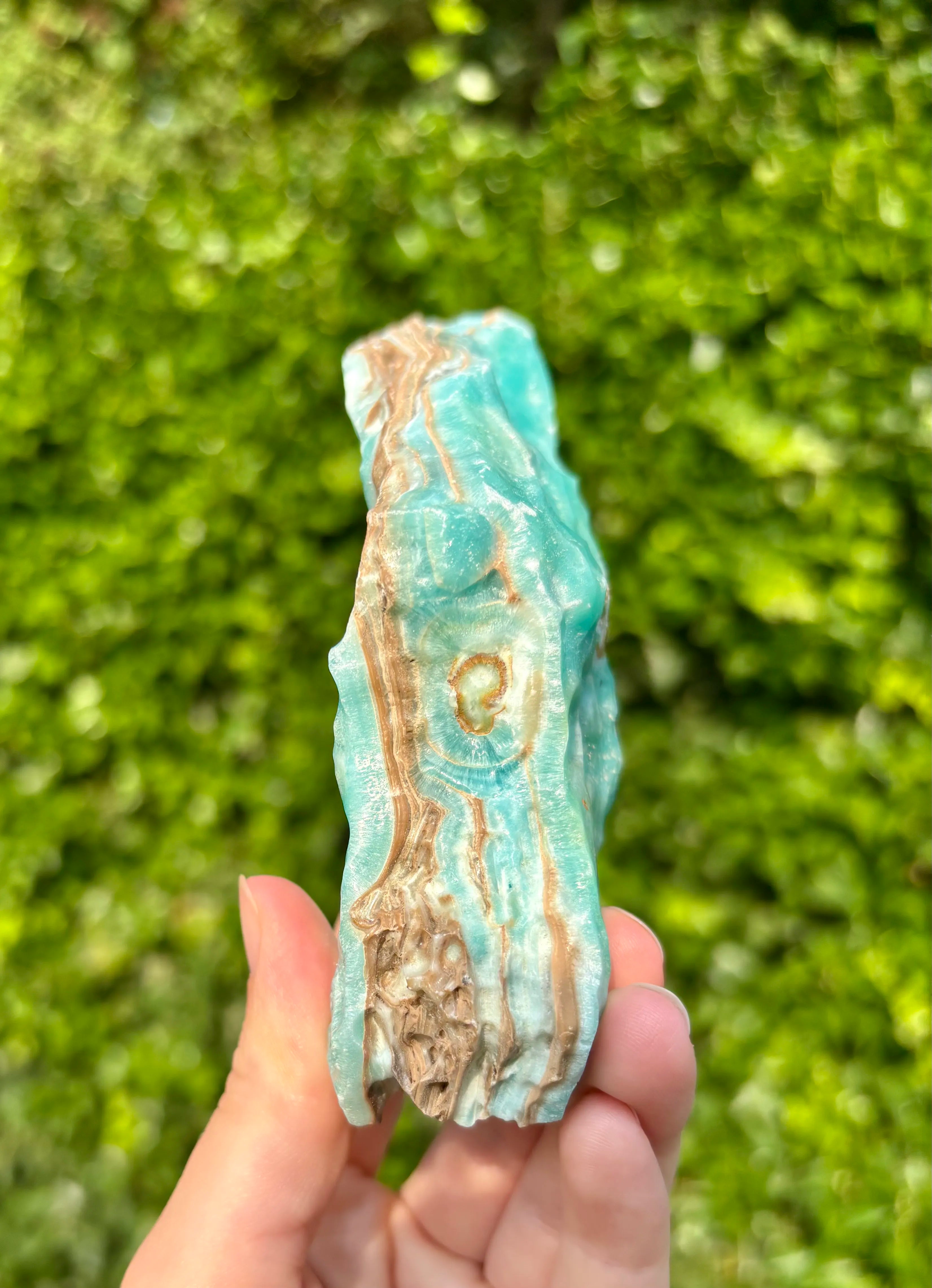 Blue Caribbean Calciet