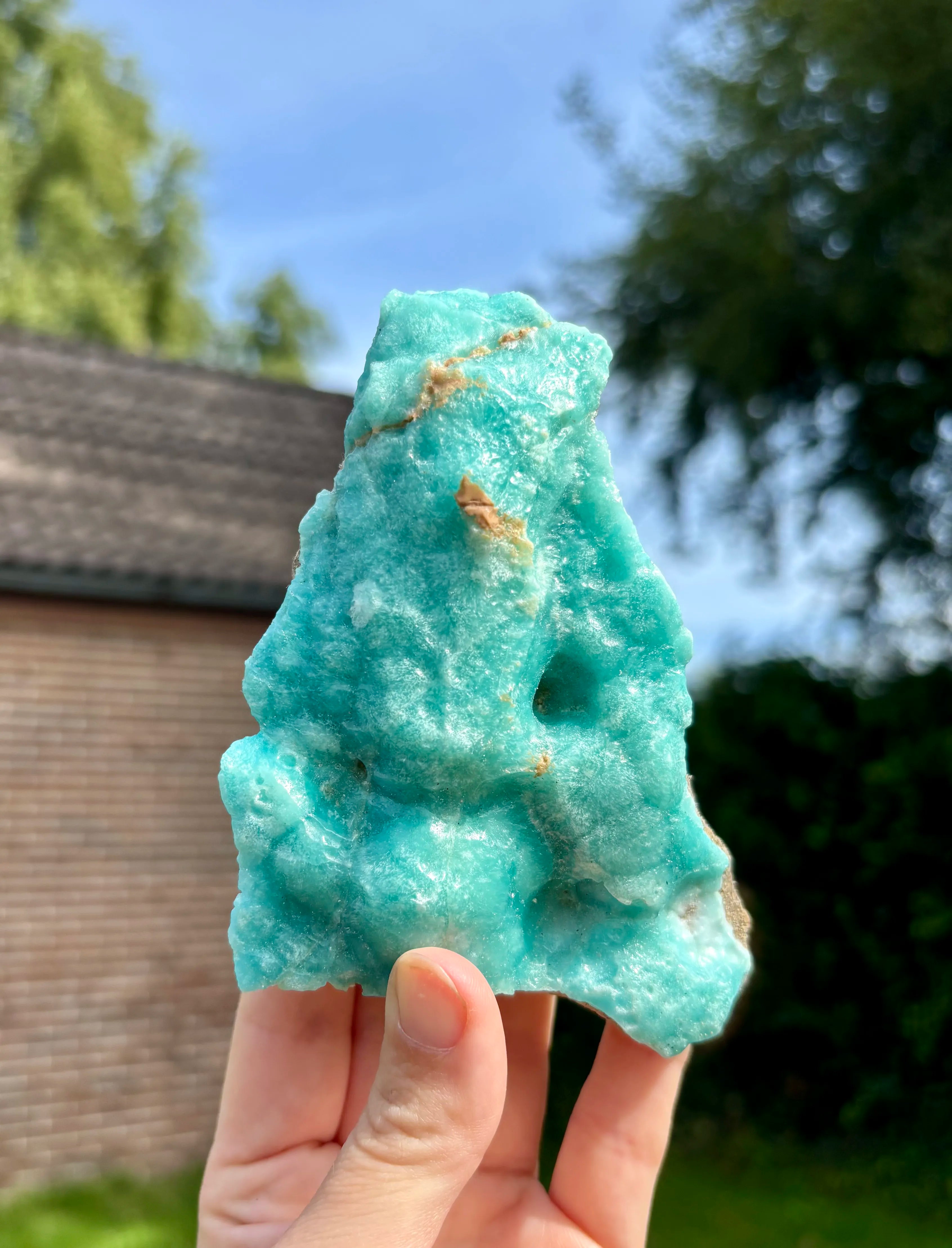 Blue Caribbean Calciet