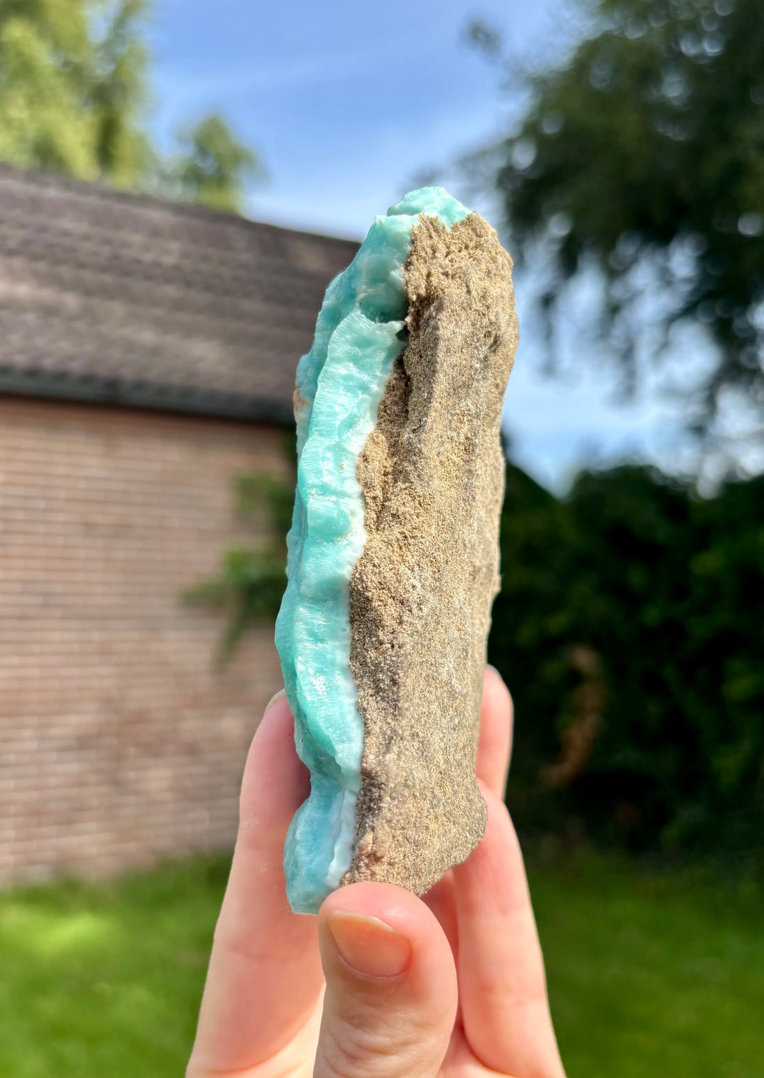 Blue Caribbean Calciet
