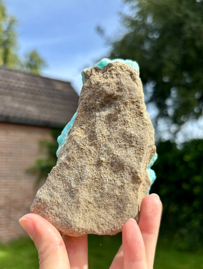 Blue Caribbean Calciet