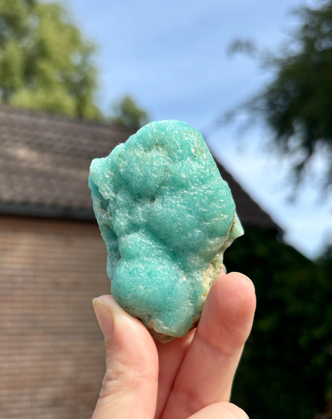 Blue Caribbean Calciet