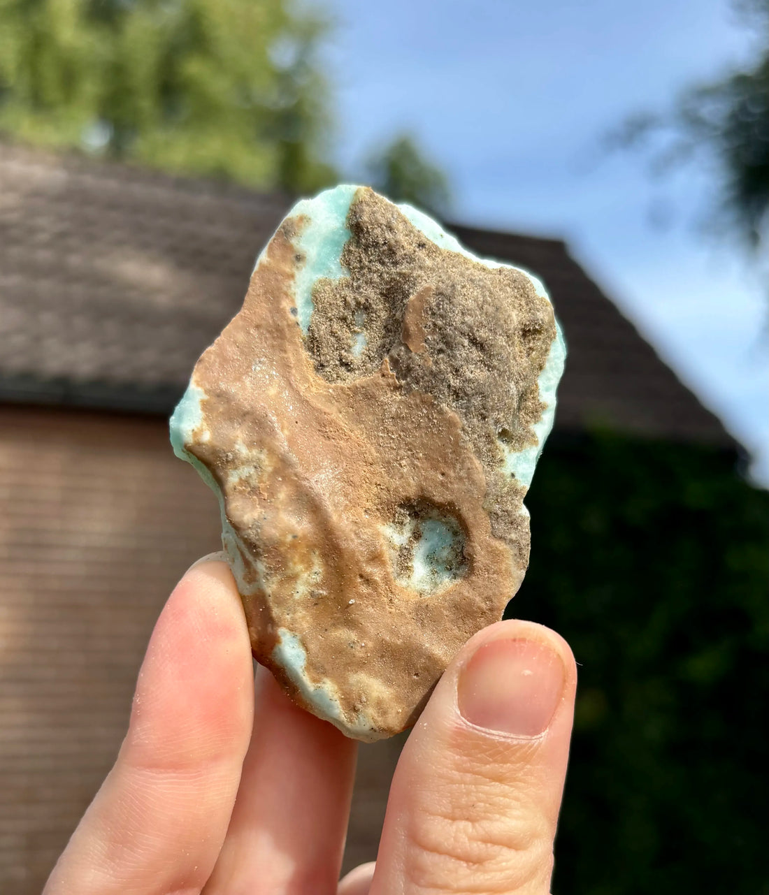 Blue Caribbean Calciet