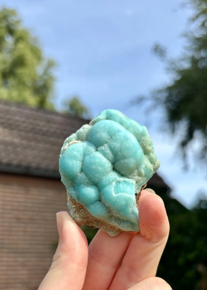 Blue Caribbean Calciet