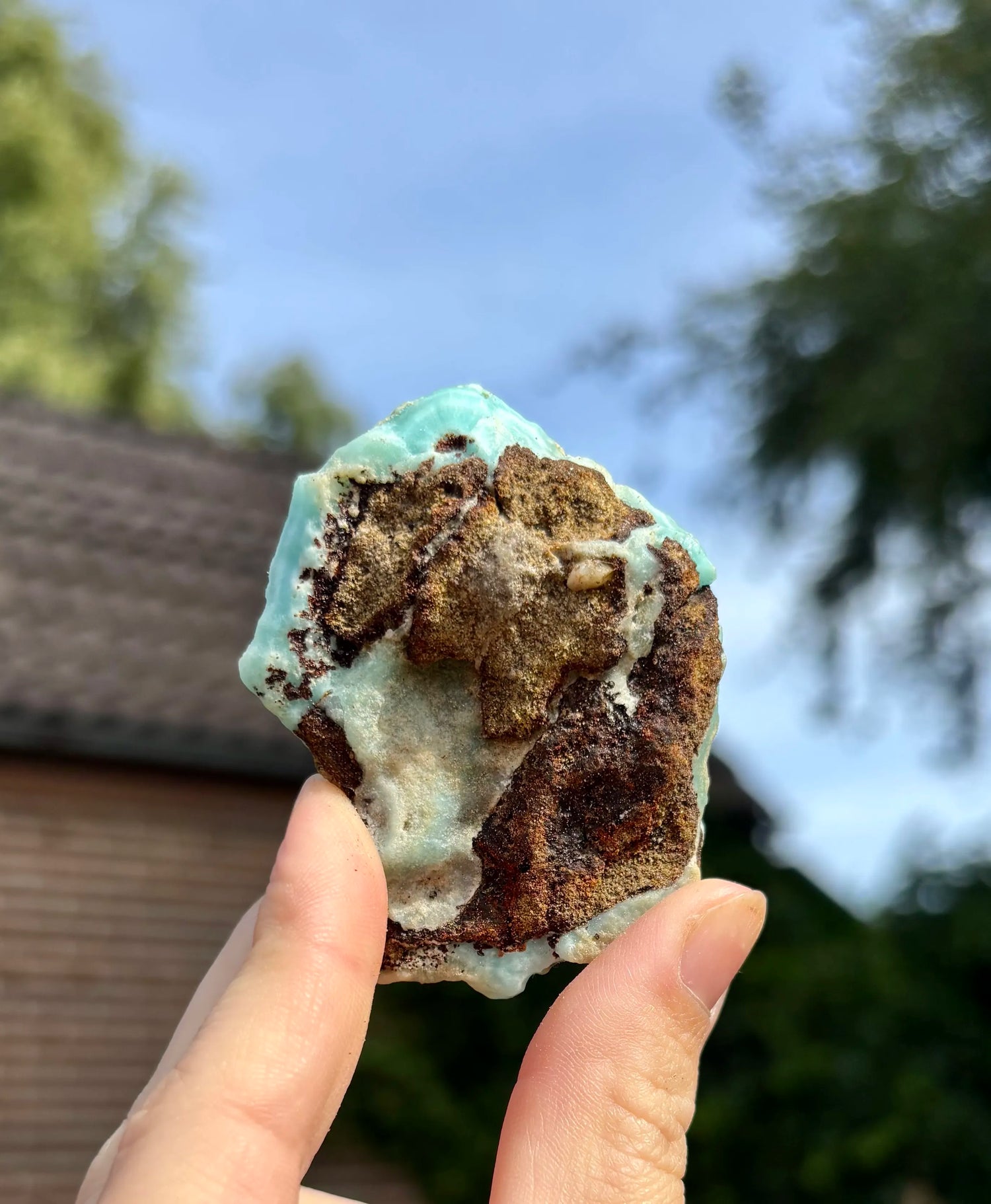 Blue Caribbean Calciet