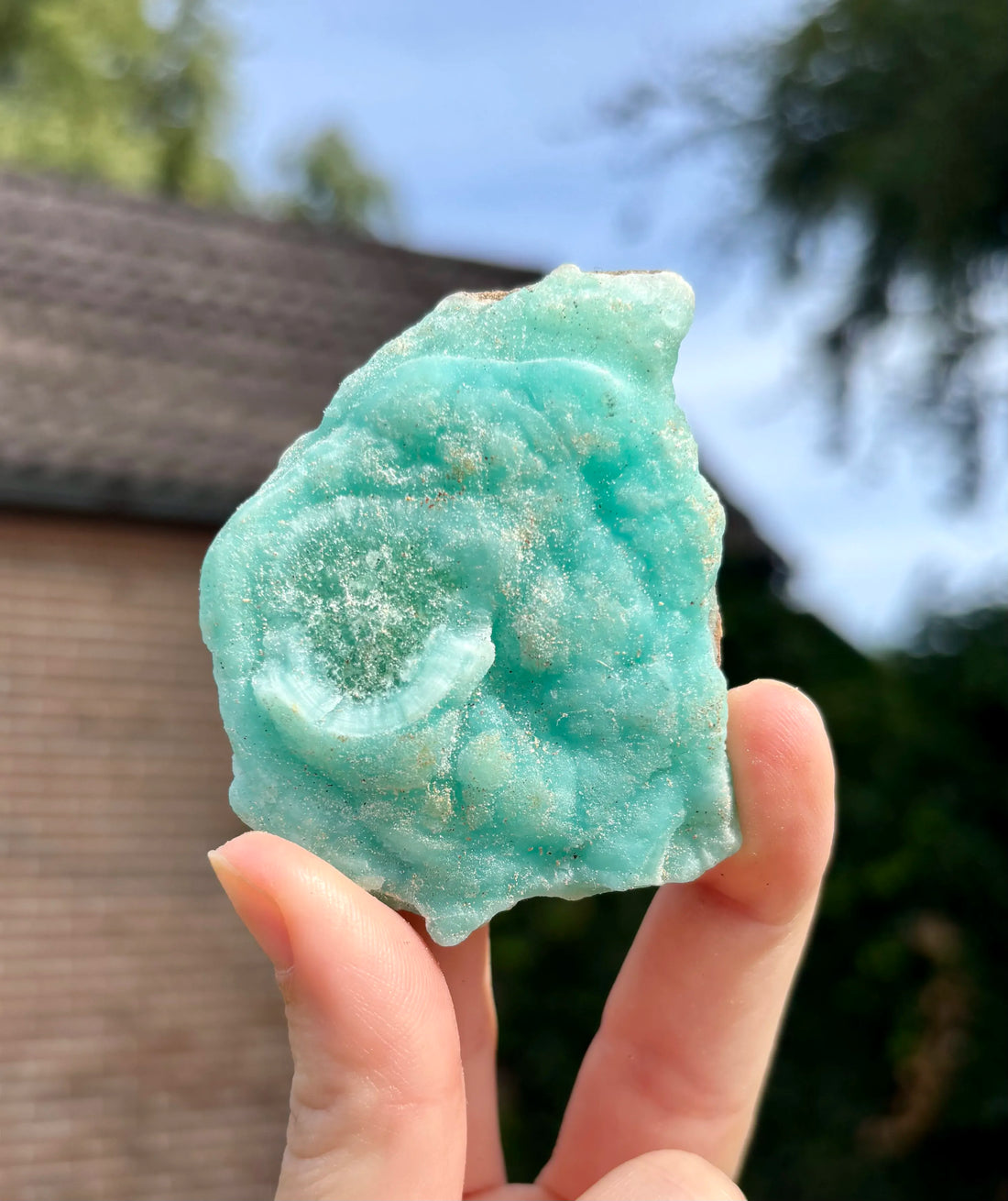 Blue Caribbean Calciet