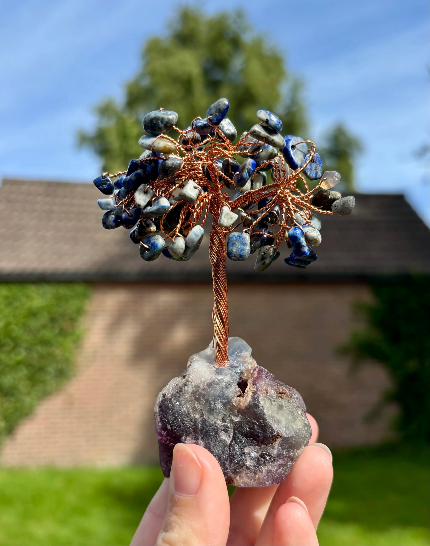 Sodaliet boom op fluoriet