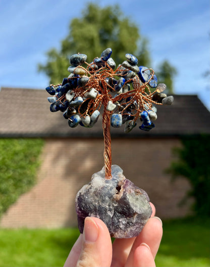 Sodaliet boom op fluoriet