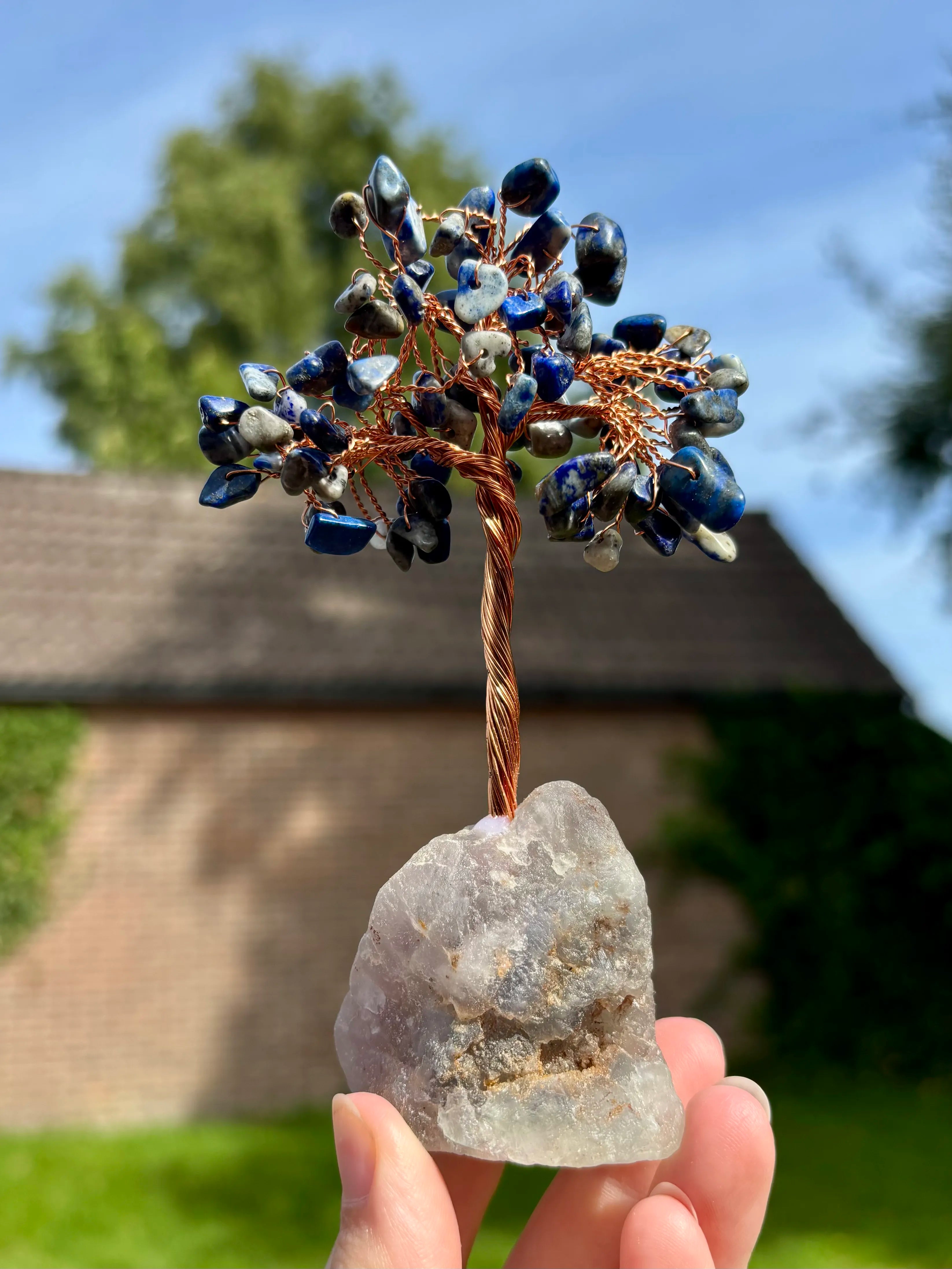 Sodaliet boom op fluoriet