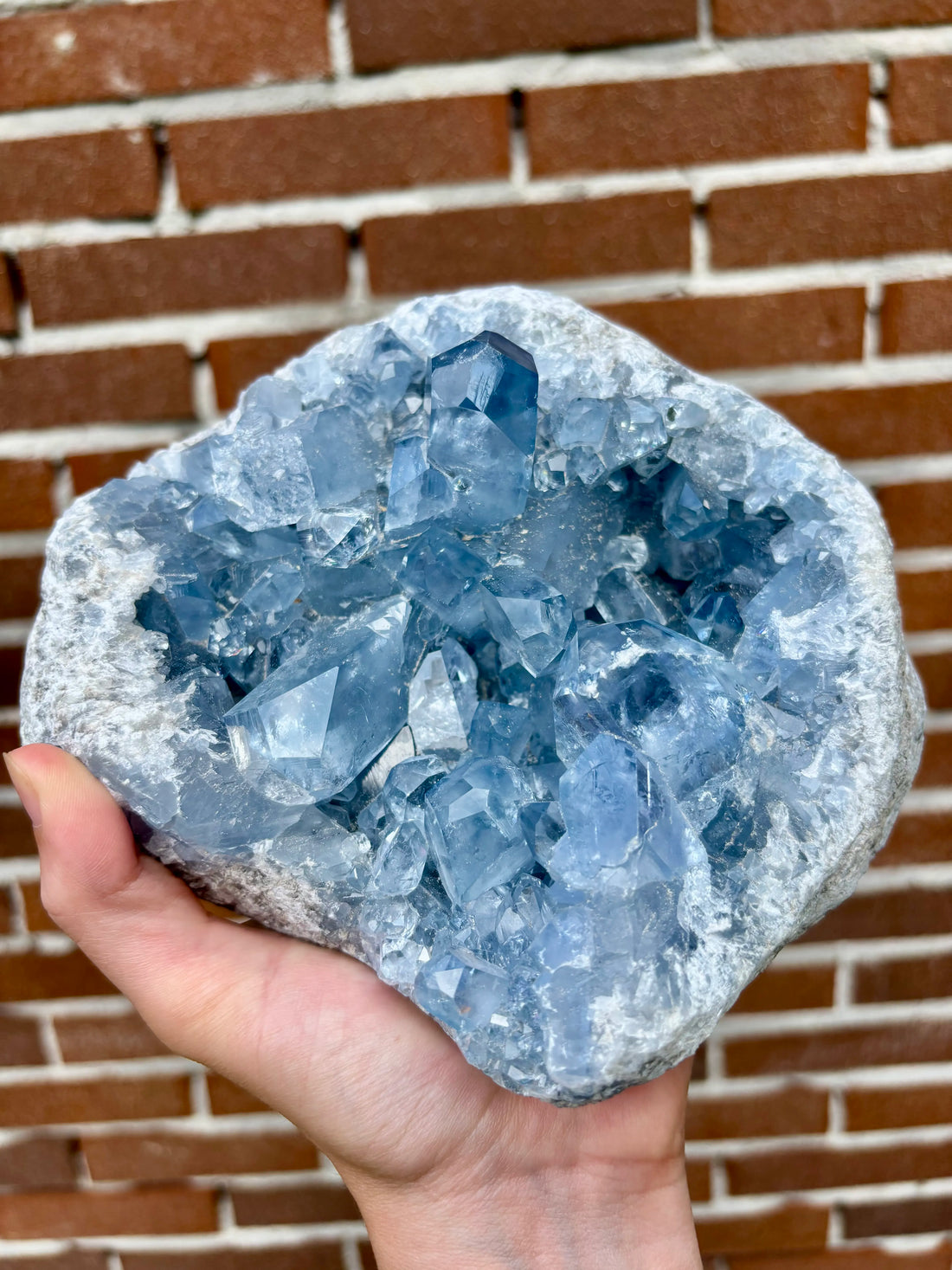 Grote Celestien Geode