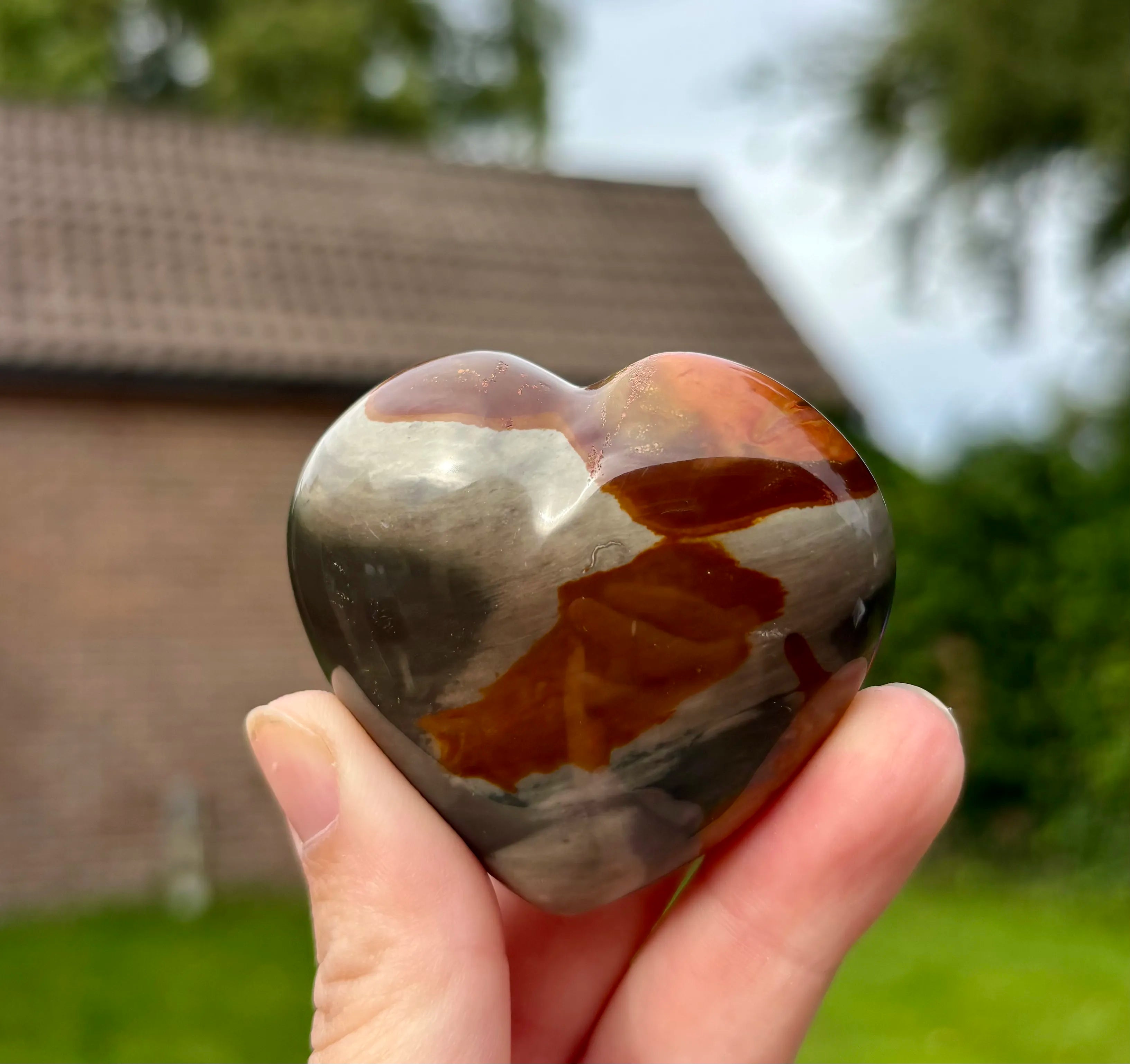 Polychroom Jaspis Hart