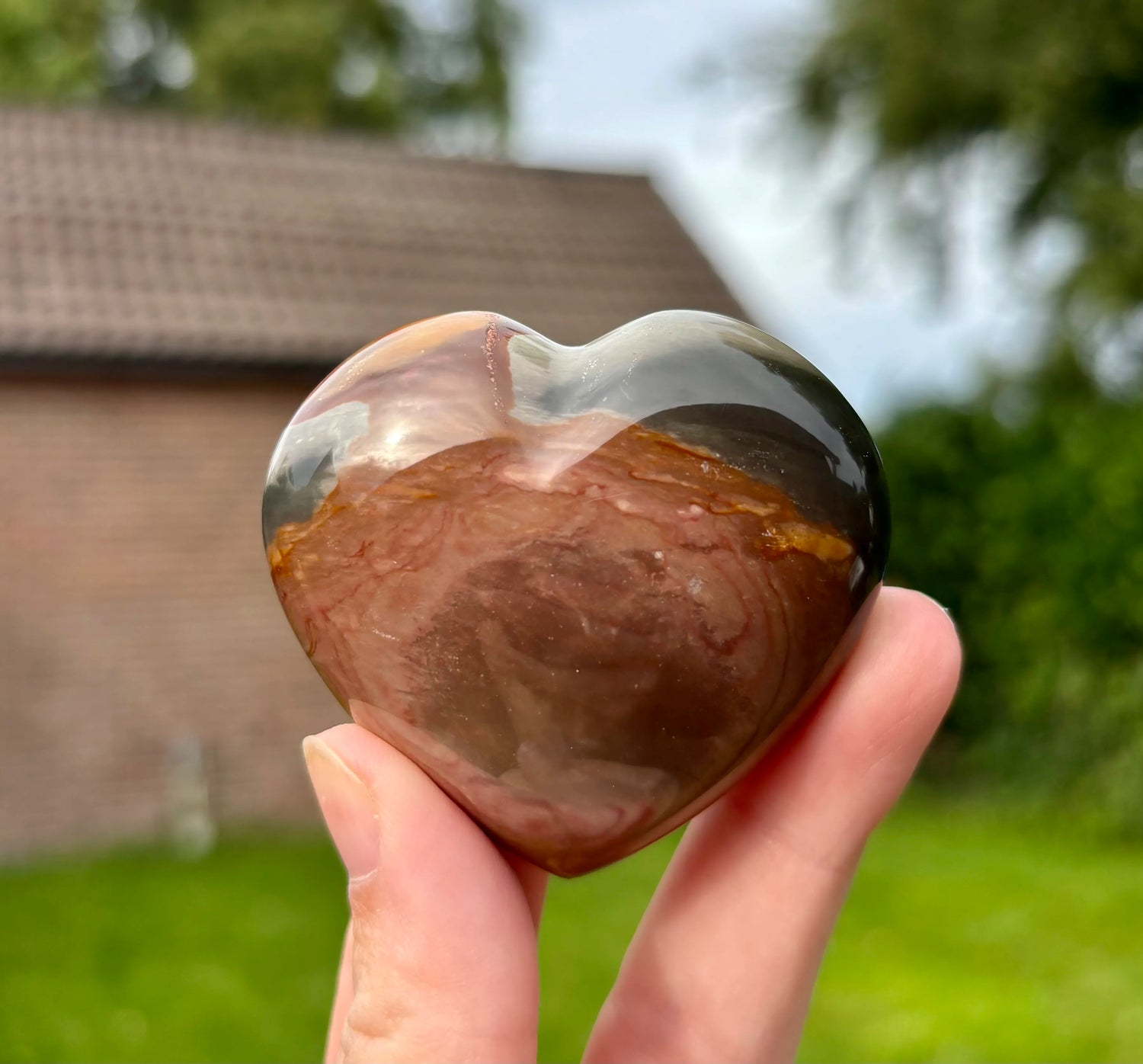 Polychroom Jaspis Hart