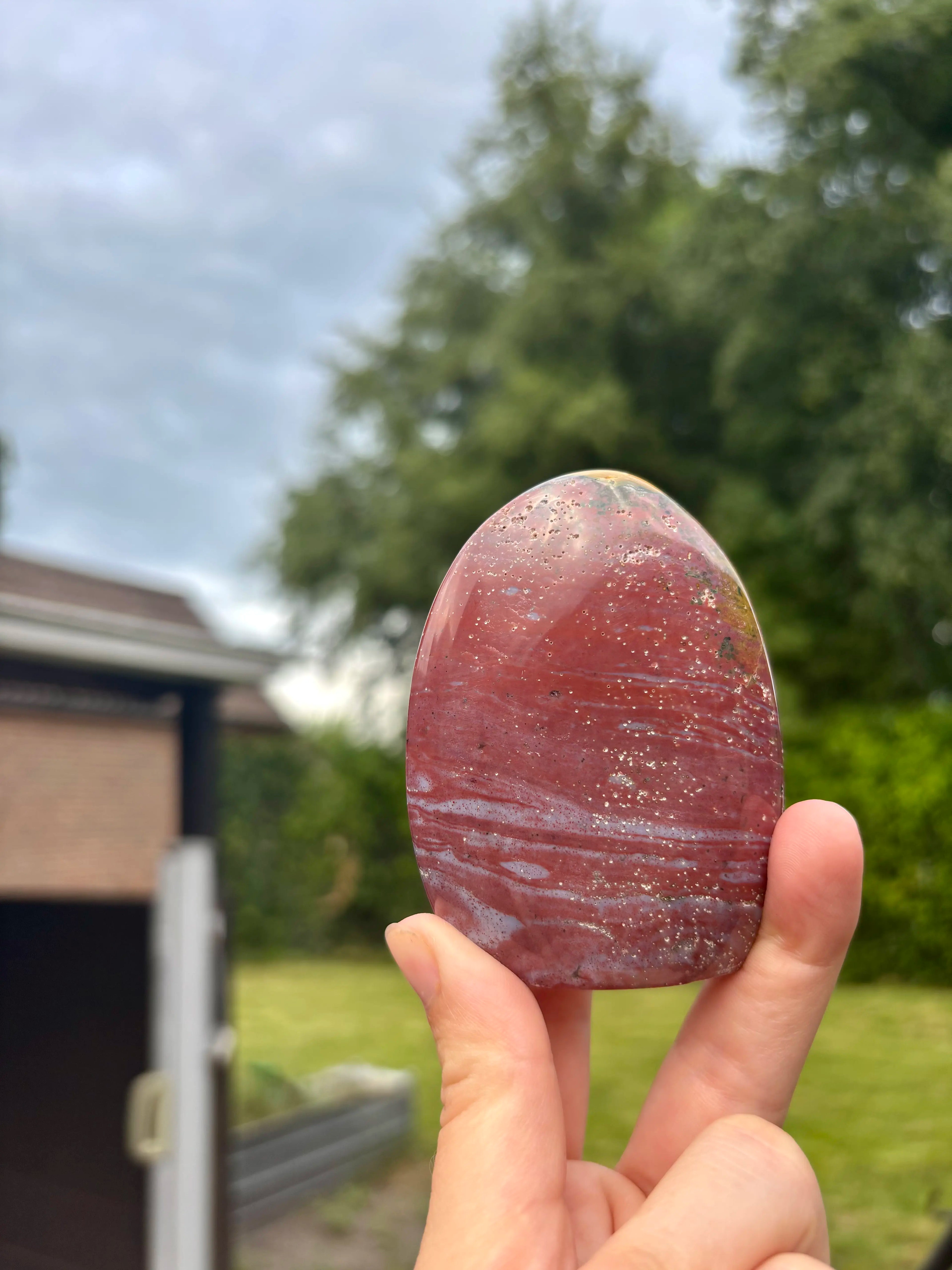 Free Form Rode Oceaan Jaspis