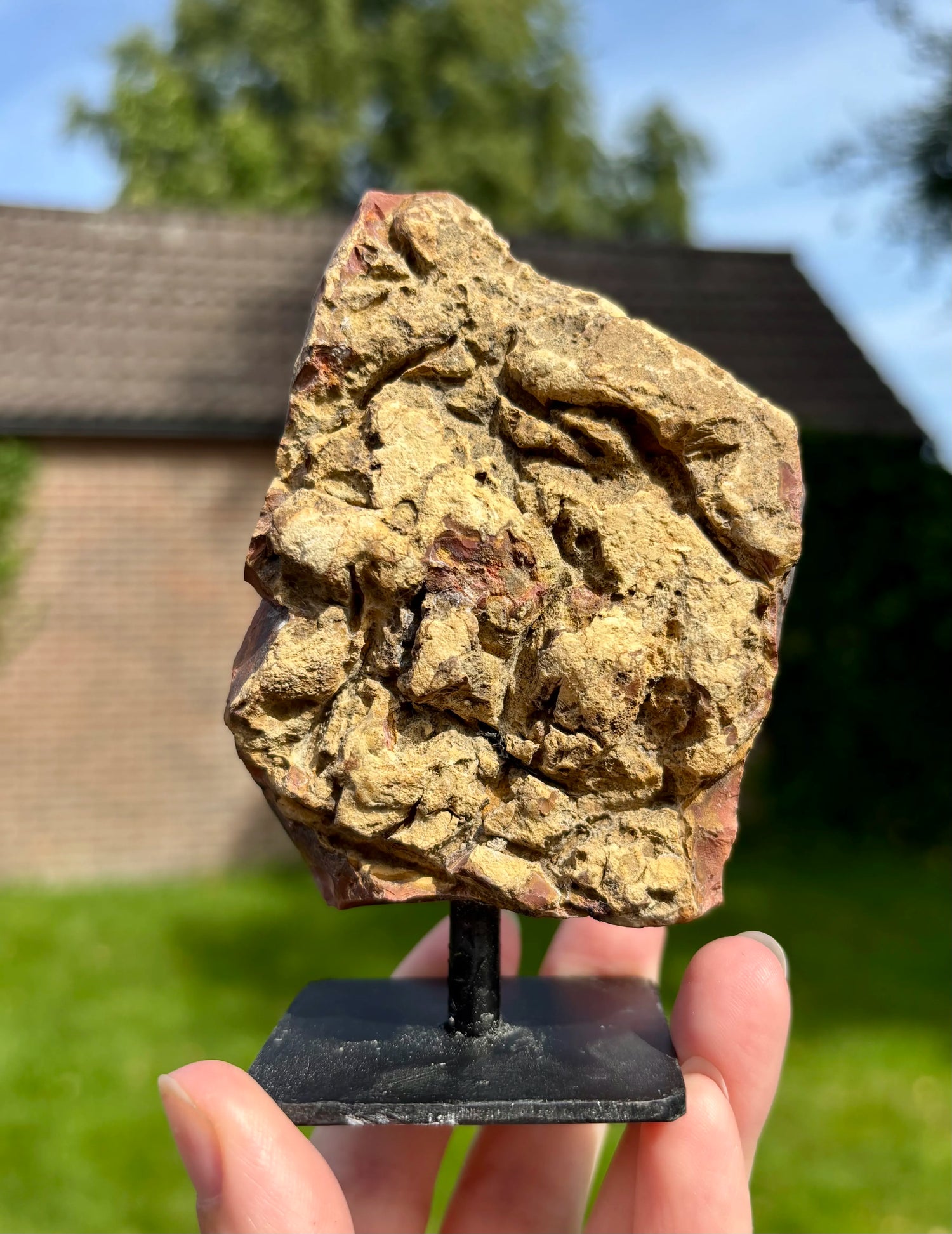 Polychroom jaspis op standaard