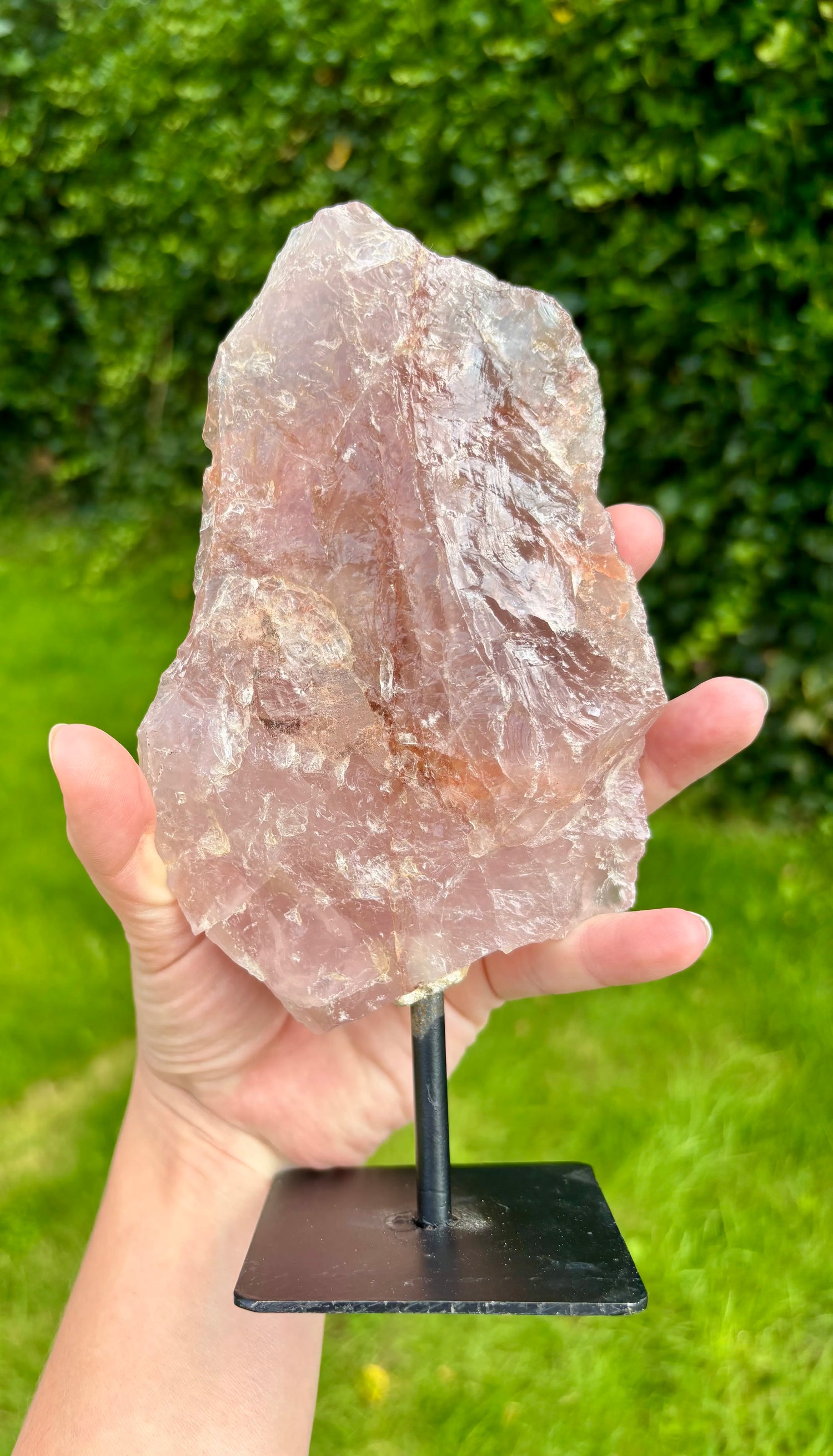 Rozenkwarts op Standaard