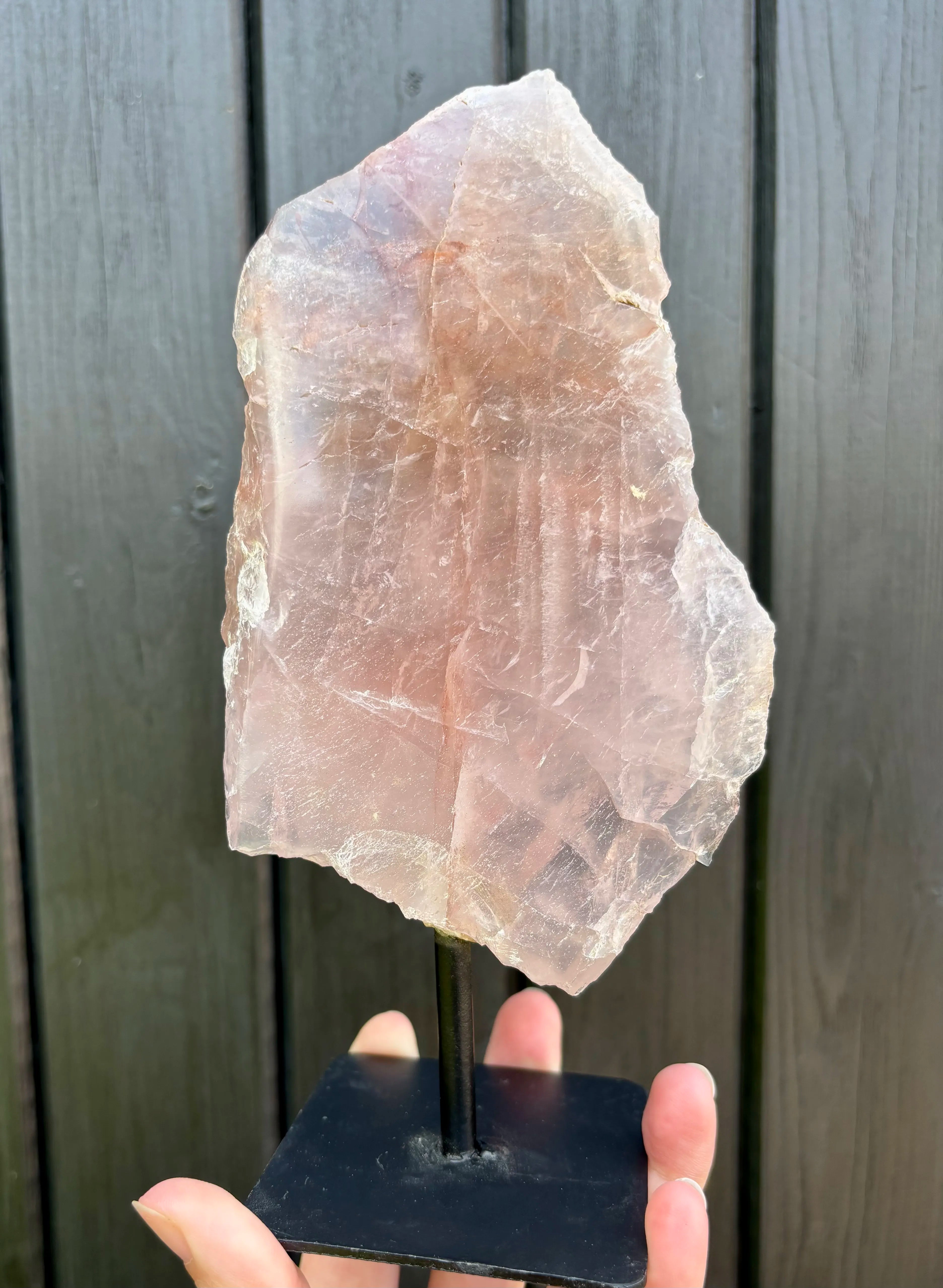 Rozenkwarts op Standaard