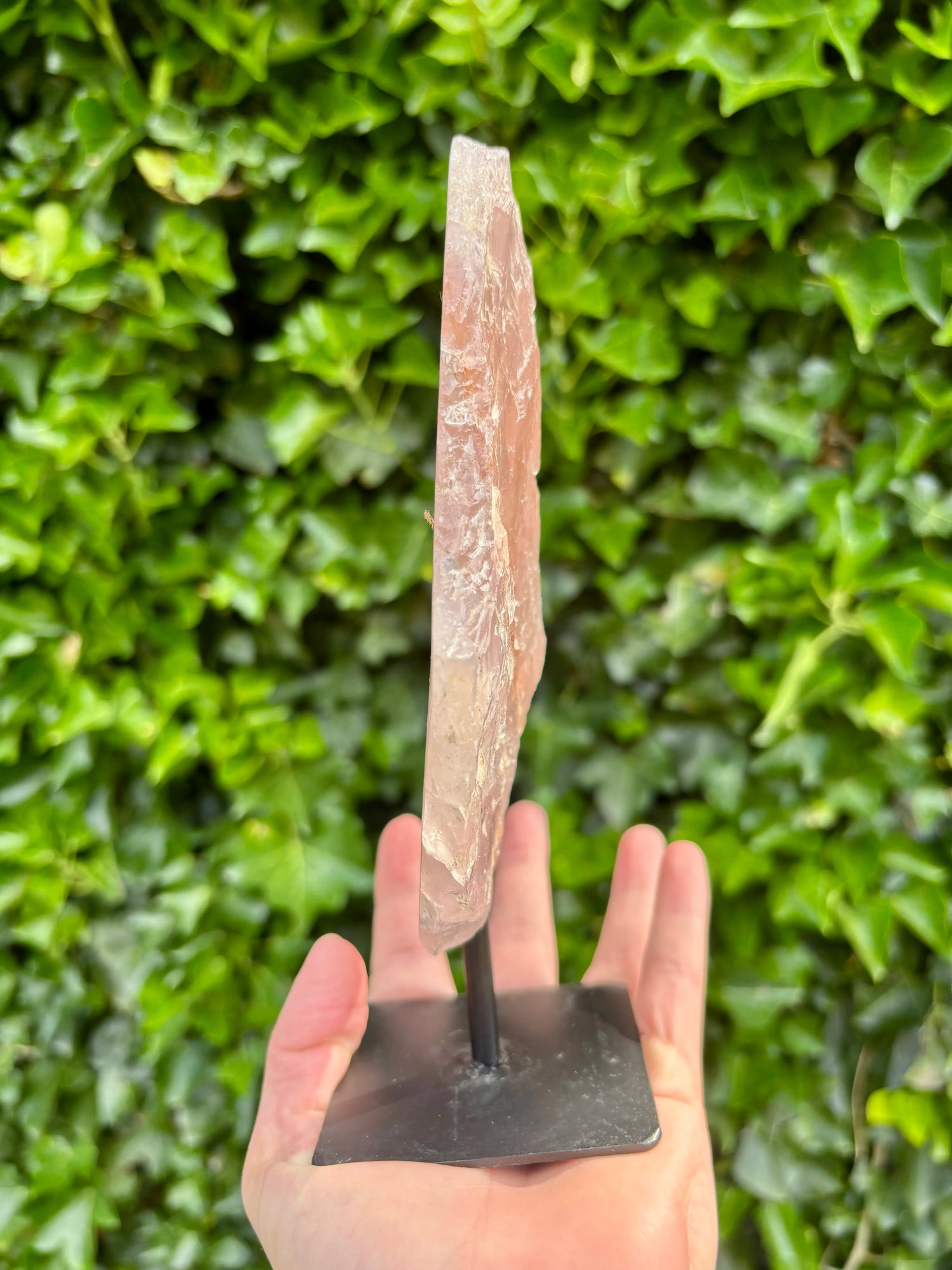 Rozenkwarts op Standaard