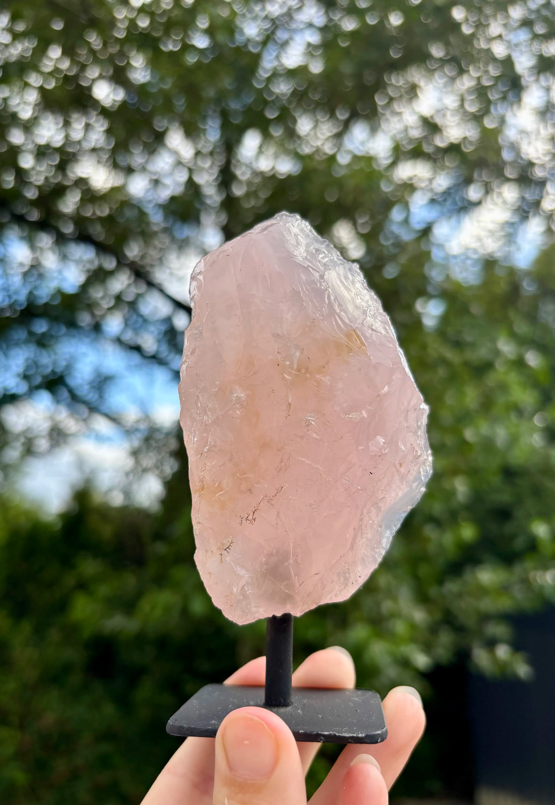 Rozenkwarts op Standaard