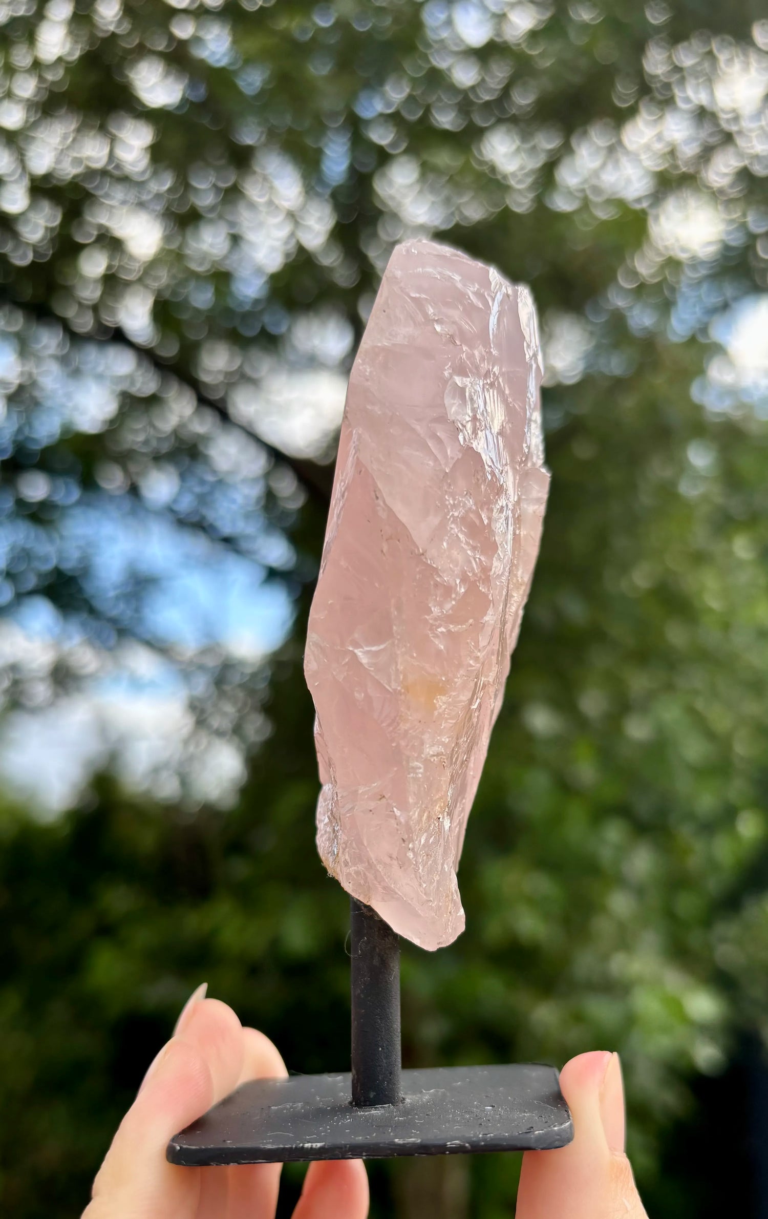 Rozenkwarts op Standaard