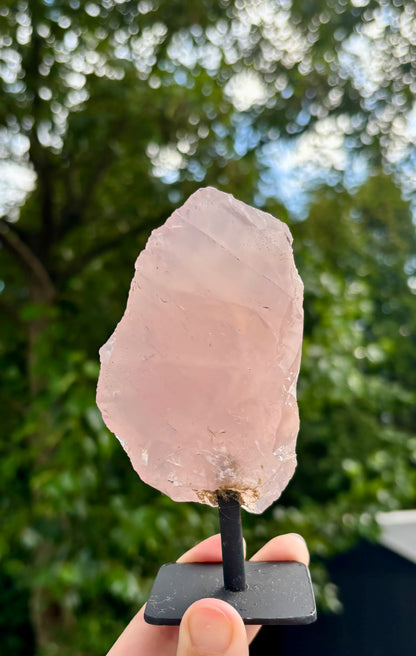 Rozenkwarts op Standaard