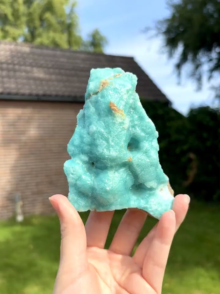 Blue Caribbean Calciet